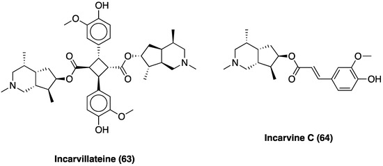 From Plant to Chemistry: Sources of Antinociceptive Non