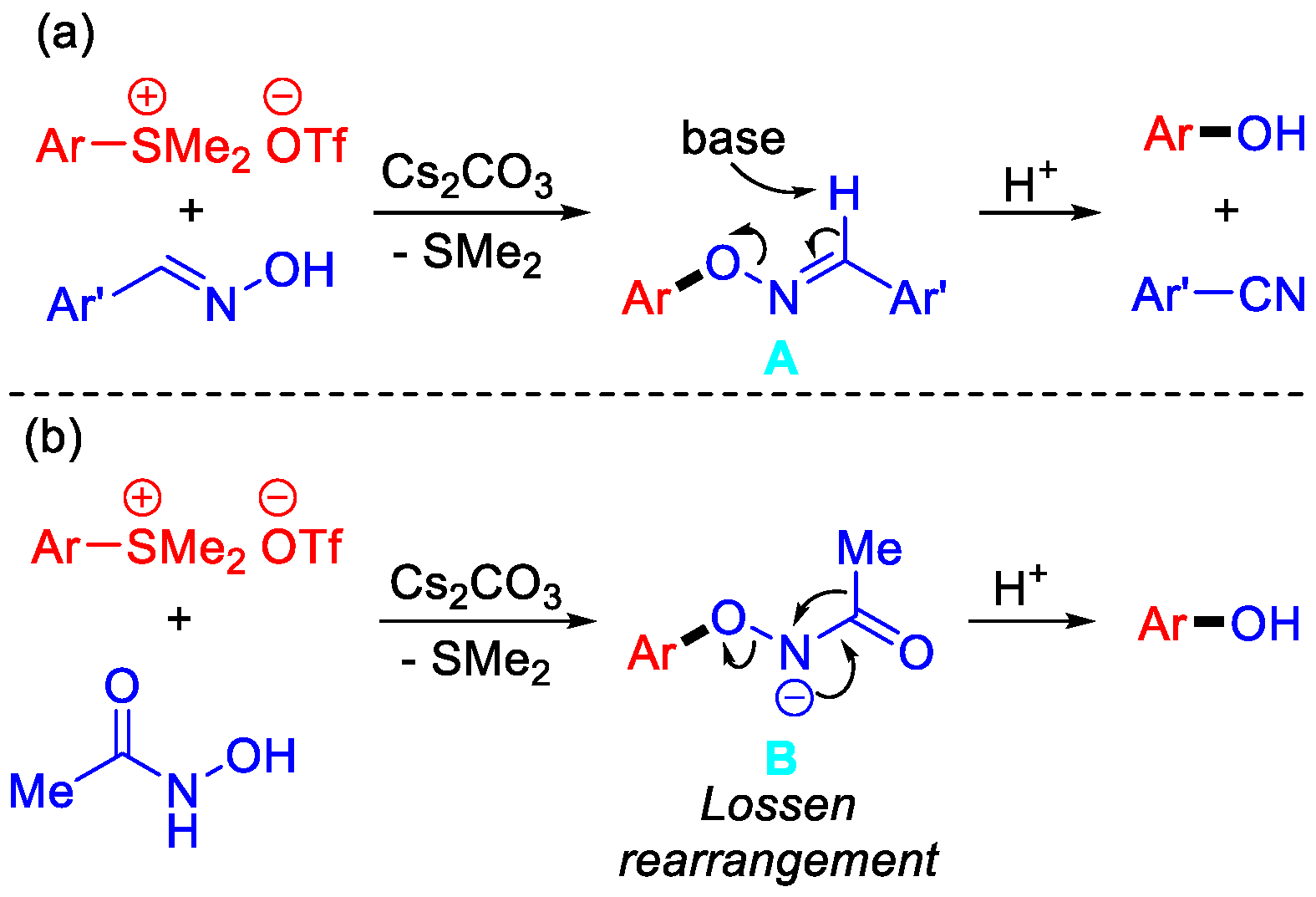 Molecules 29 00831 g001