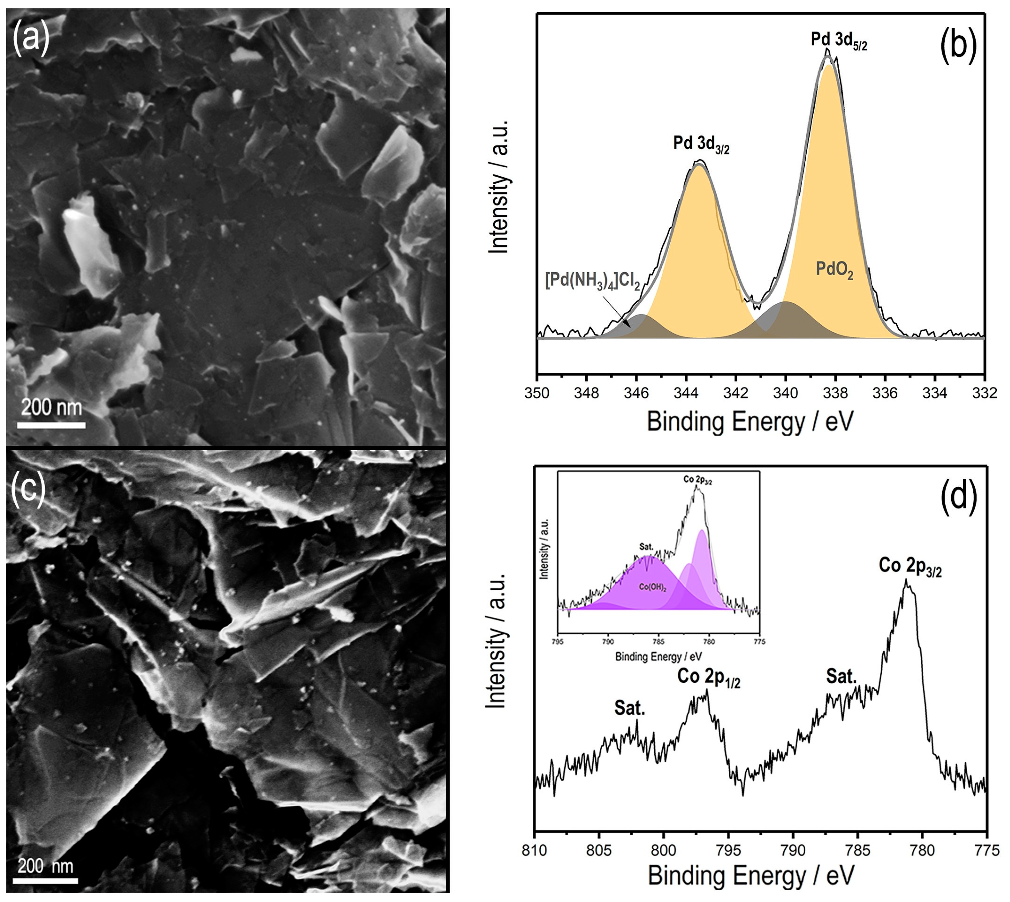 Molecules 29 00835 g005