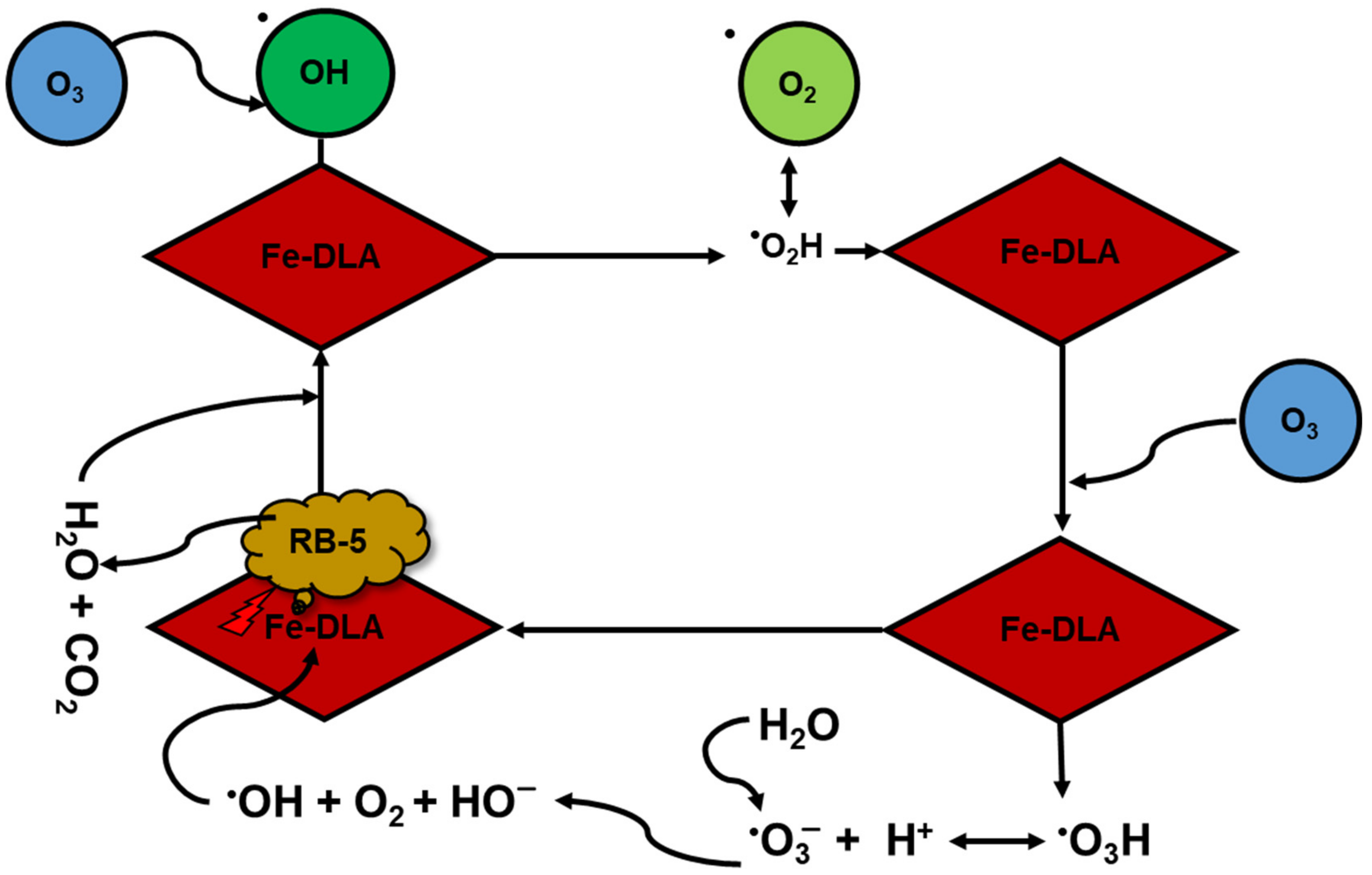 Molecules 29 00836 g012