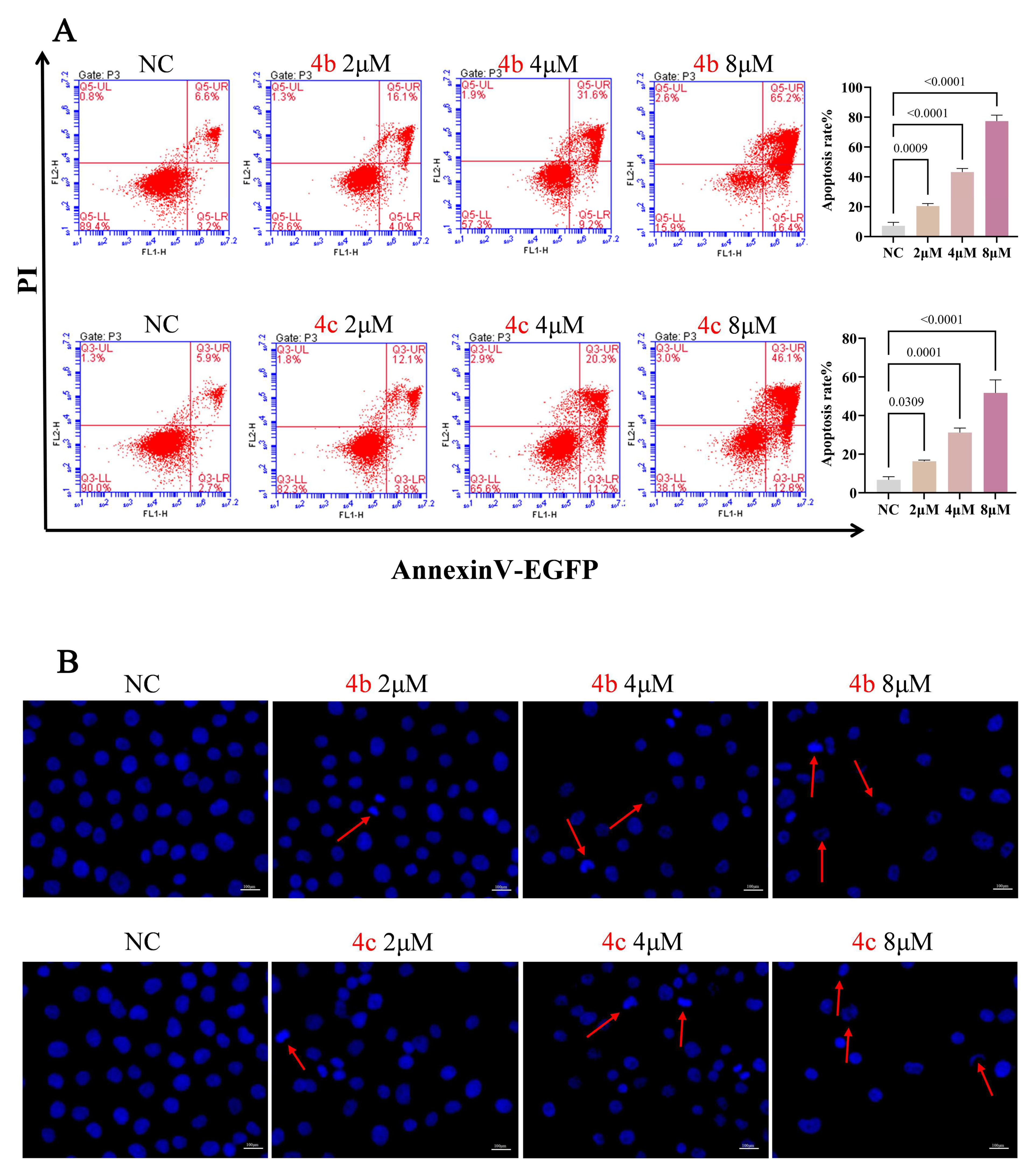 Molecules 29 00837 g004