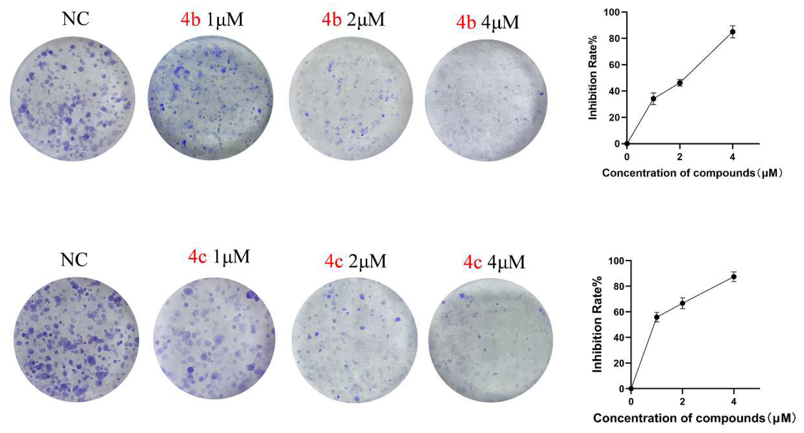 Molecules 29 00837 g006