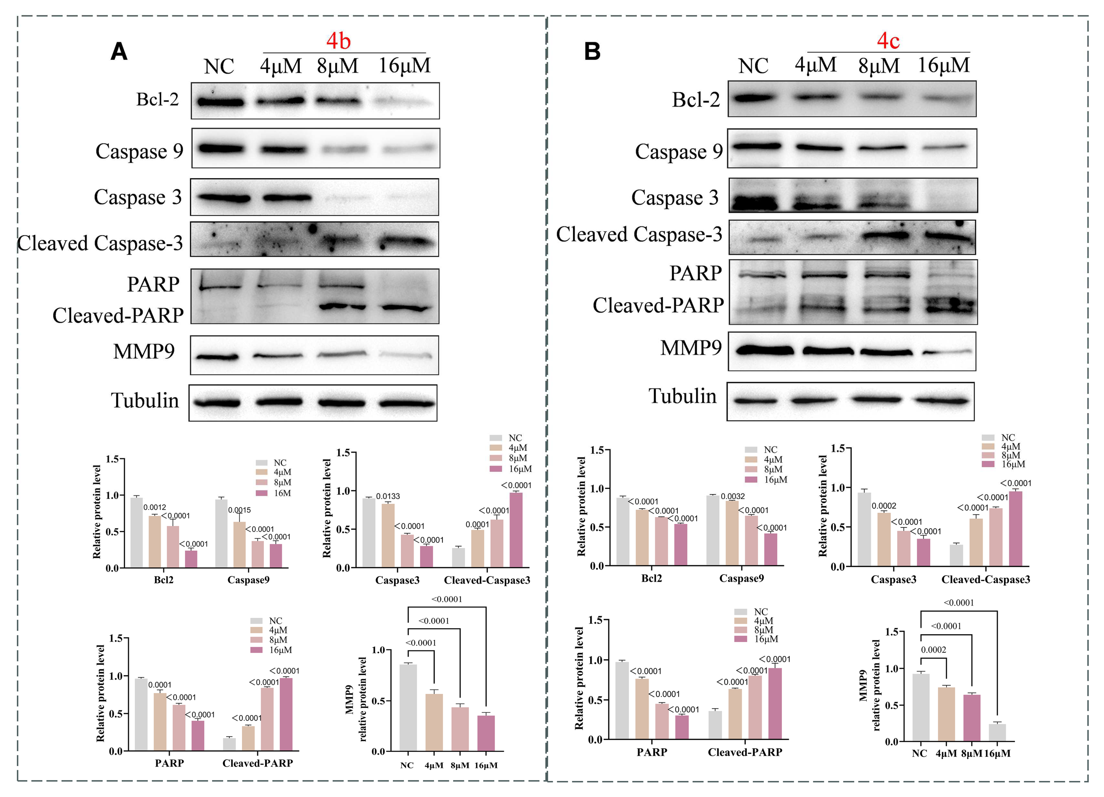 Molecules 29 00837 g007