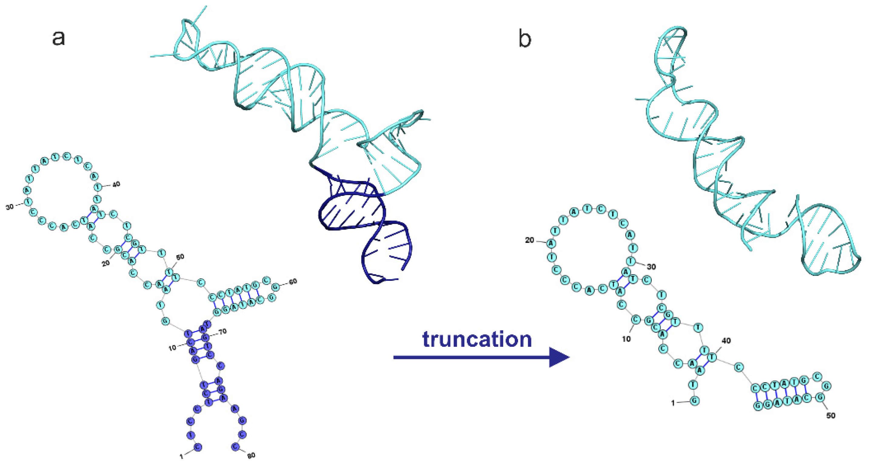 Molecules 29 00848 g001