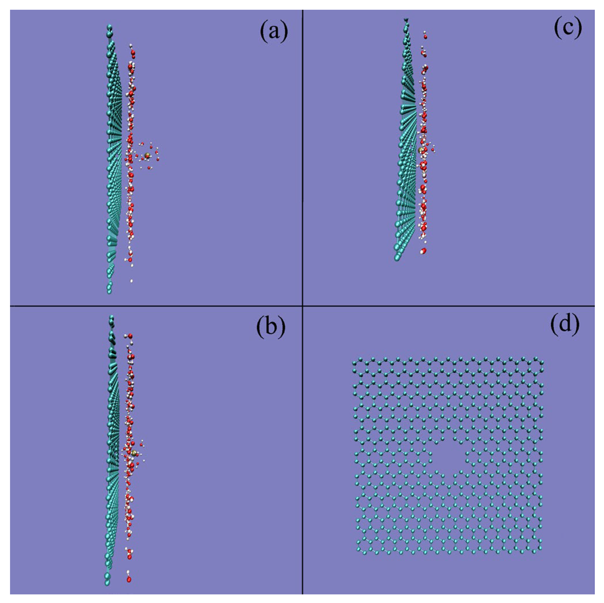 Molecules 29 00853 g006