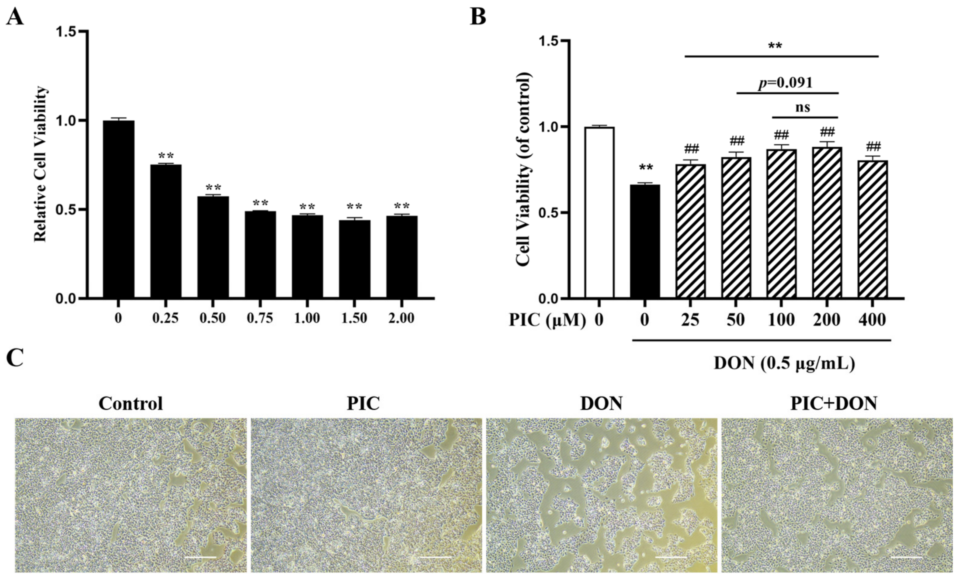 Molecules 29 00855 g002 Molecules 29 00855 g002