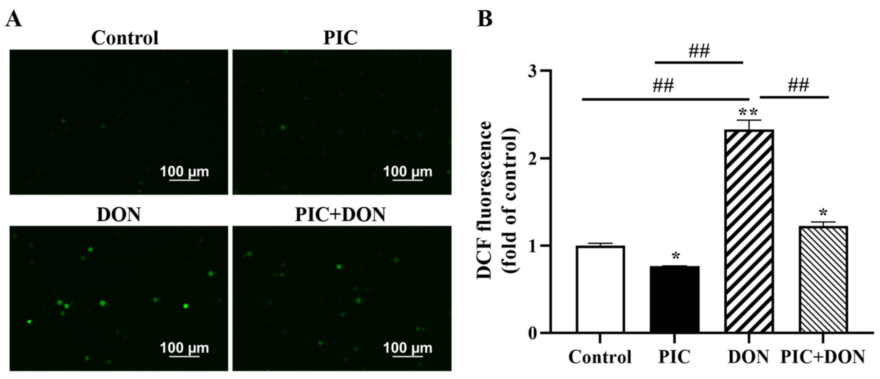 Molecules 29 00855 g004 Molecules 29 00855 g004