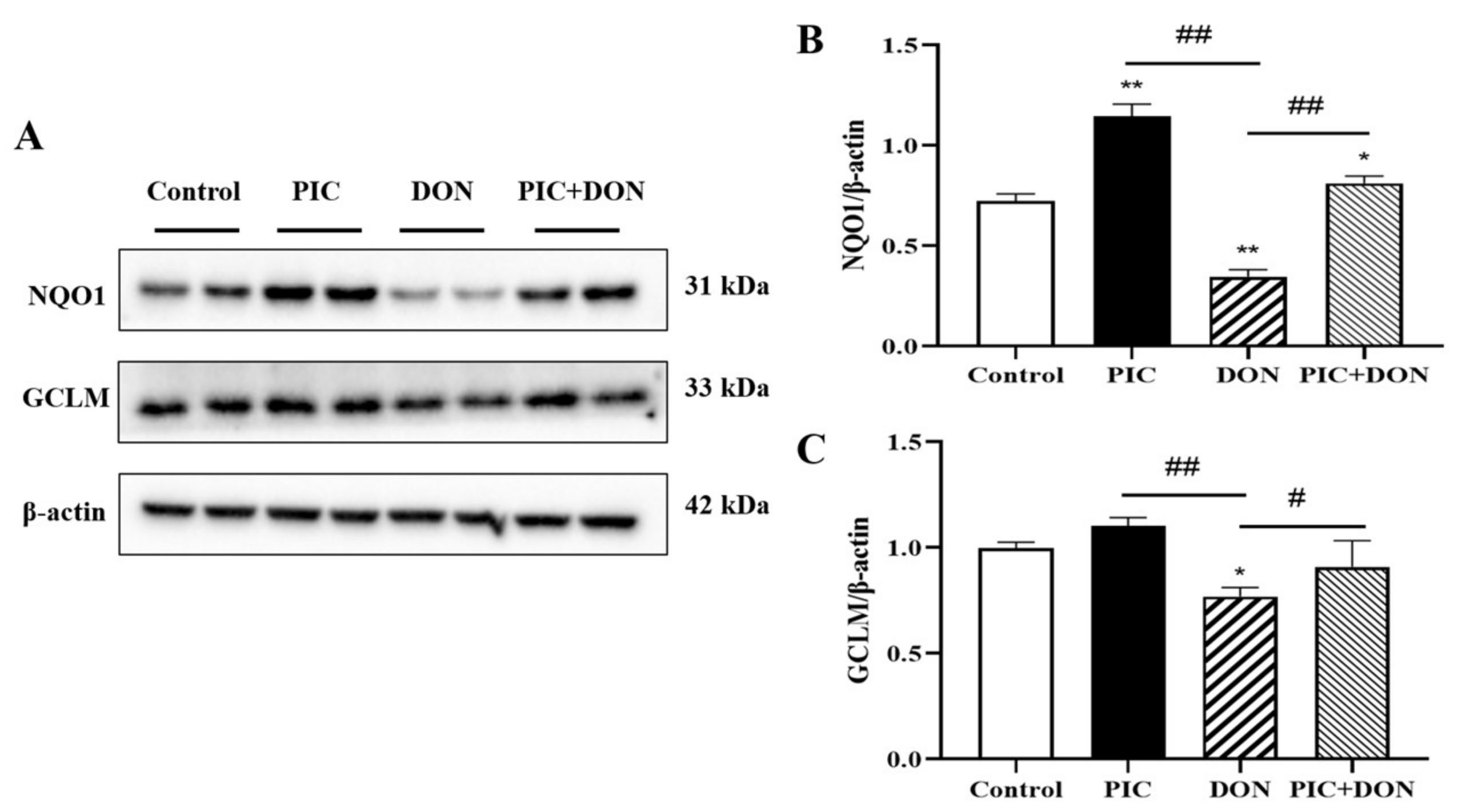 Molecules 29 00855 g005 Molecules 29 00855 g005
