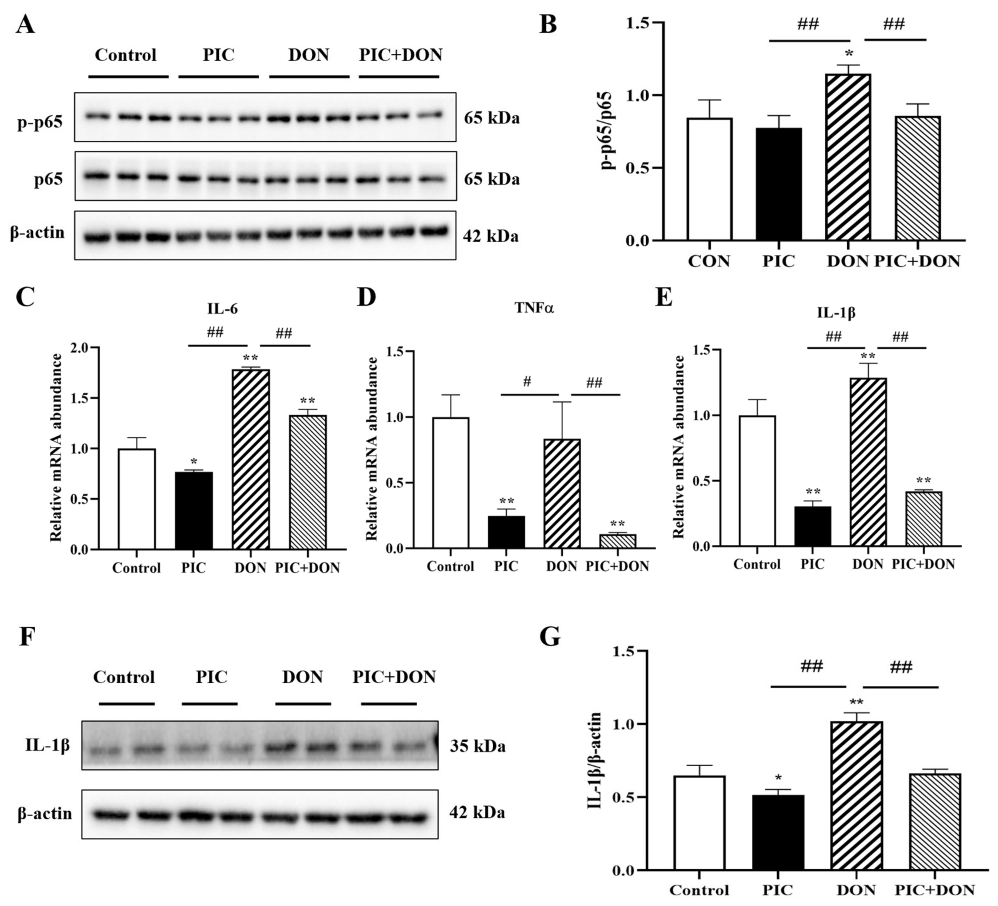 Molecules 29 00855 g006 Molecules 29 00855 g006