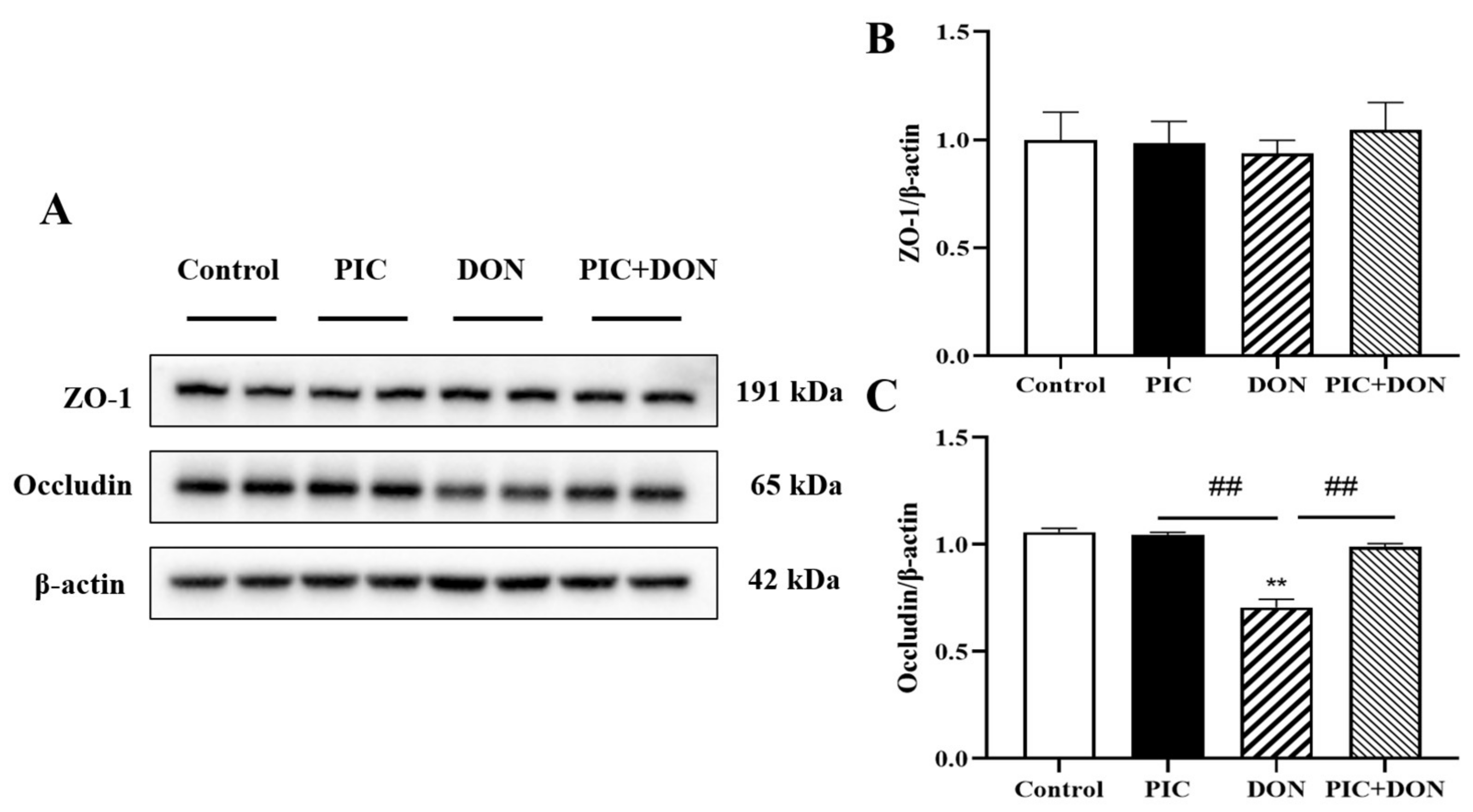 Molecules 29 00855 g007 Molecules 29 00855 g007