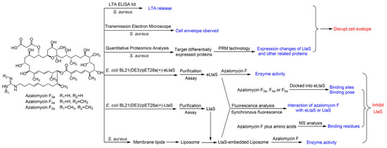 zx/package-lock.json at main · google/zx · GitHub