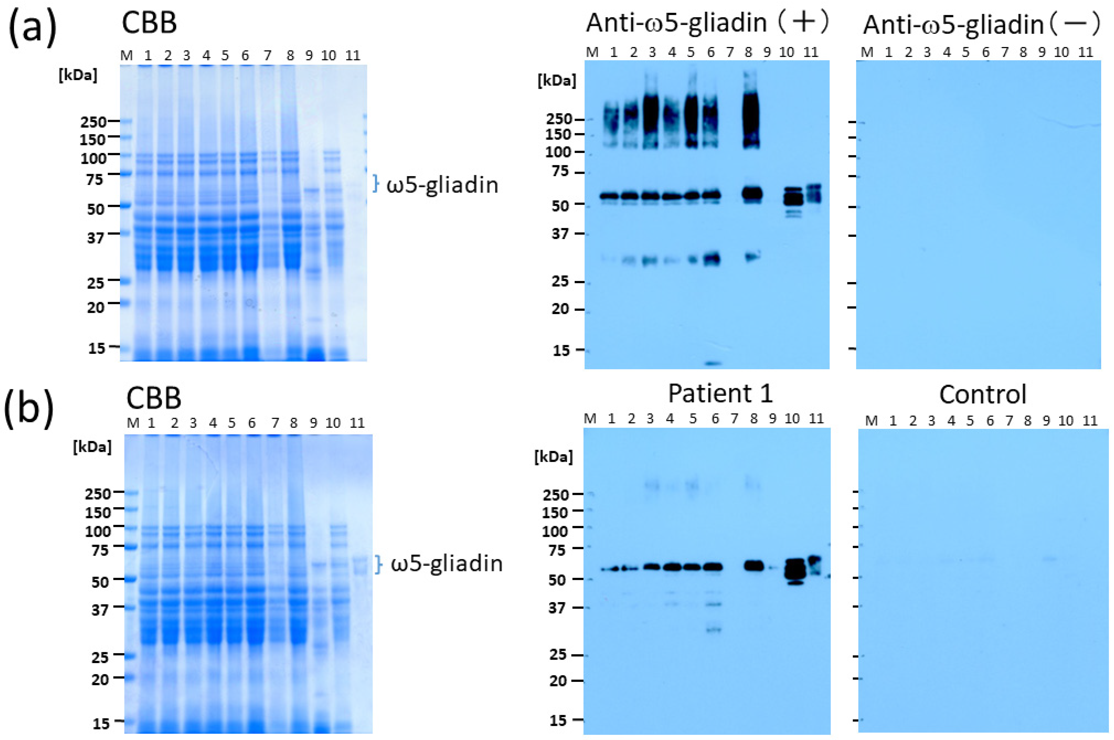 Molecules 29 00863 g001
