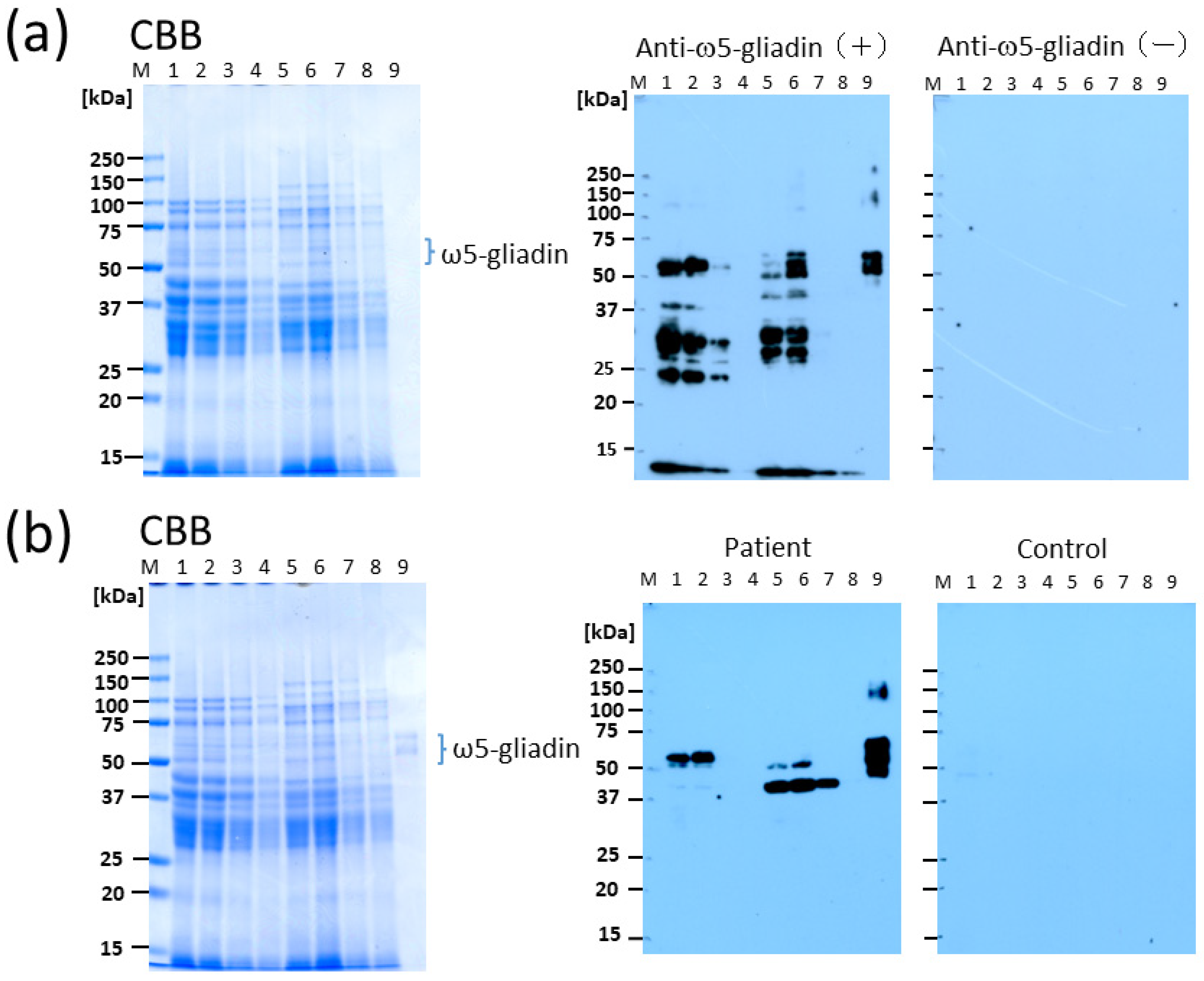 Molecules 29 00863 g002