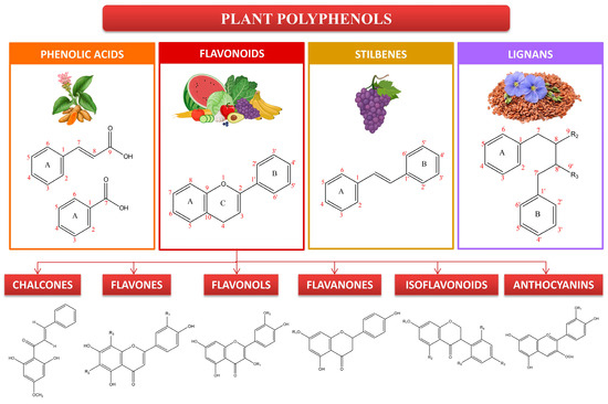 The Promising Role of Polyphenols in Skin Disorders The Promising Role of Polyphenols in Skin Disorders