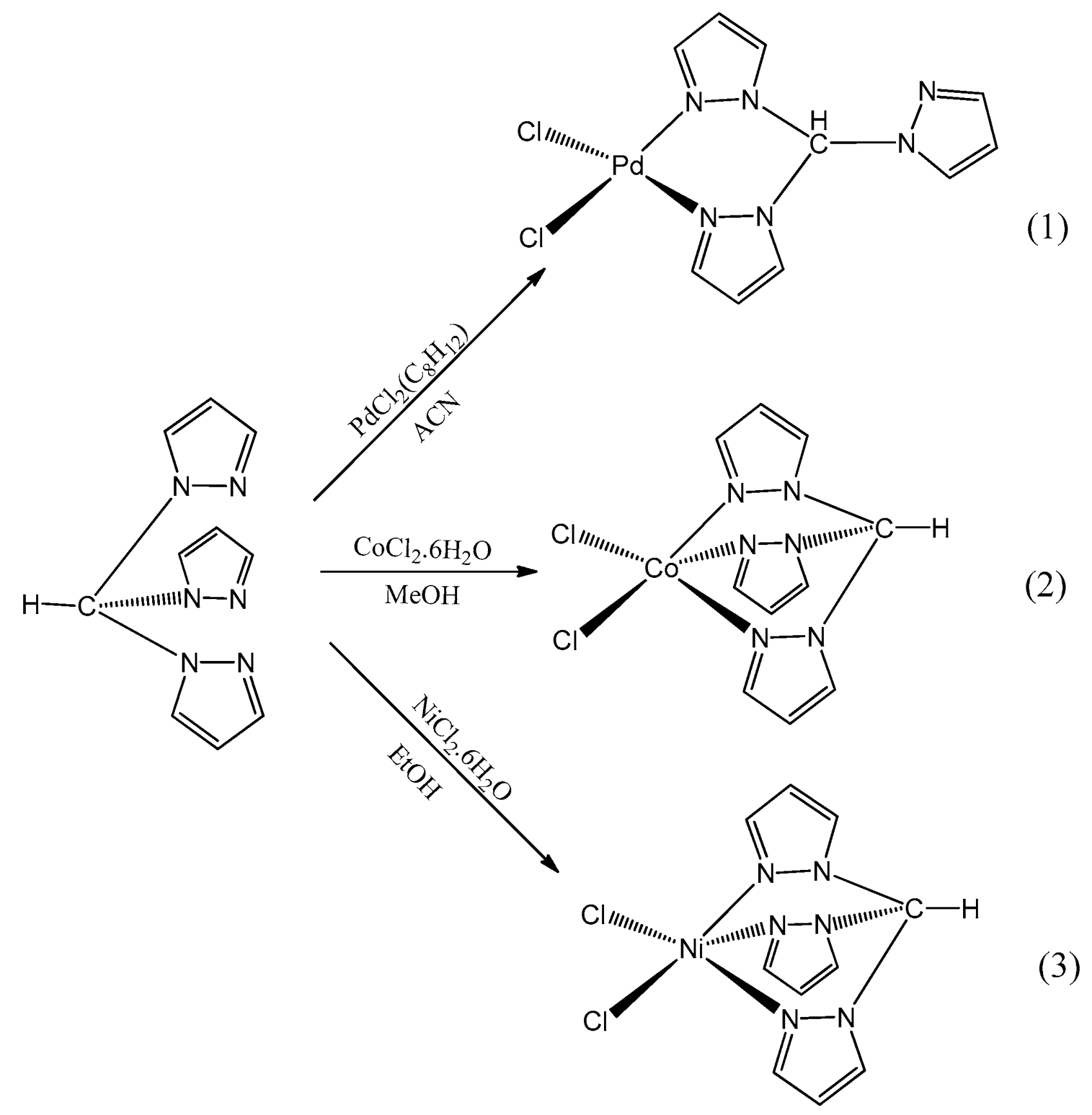 Molecules 29 00870 sch002