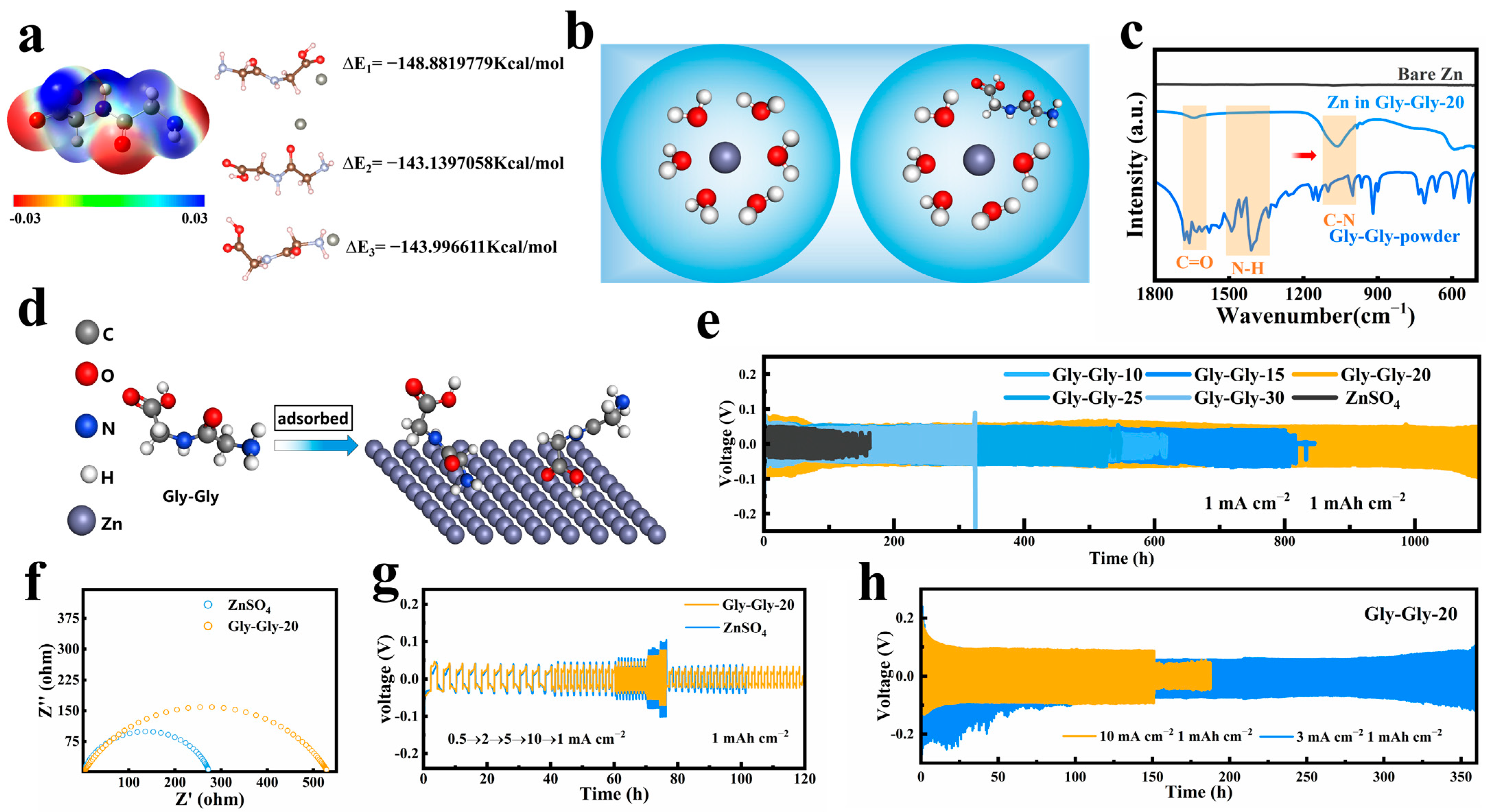 Molecules 29 00874 g001