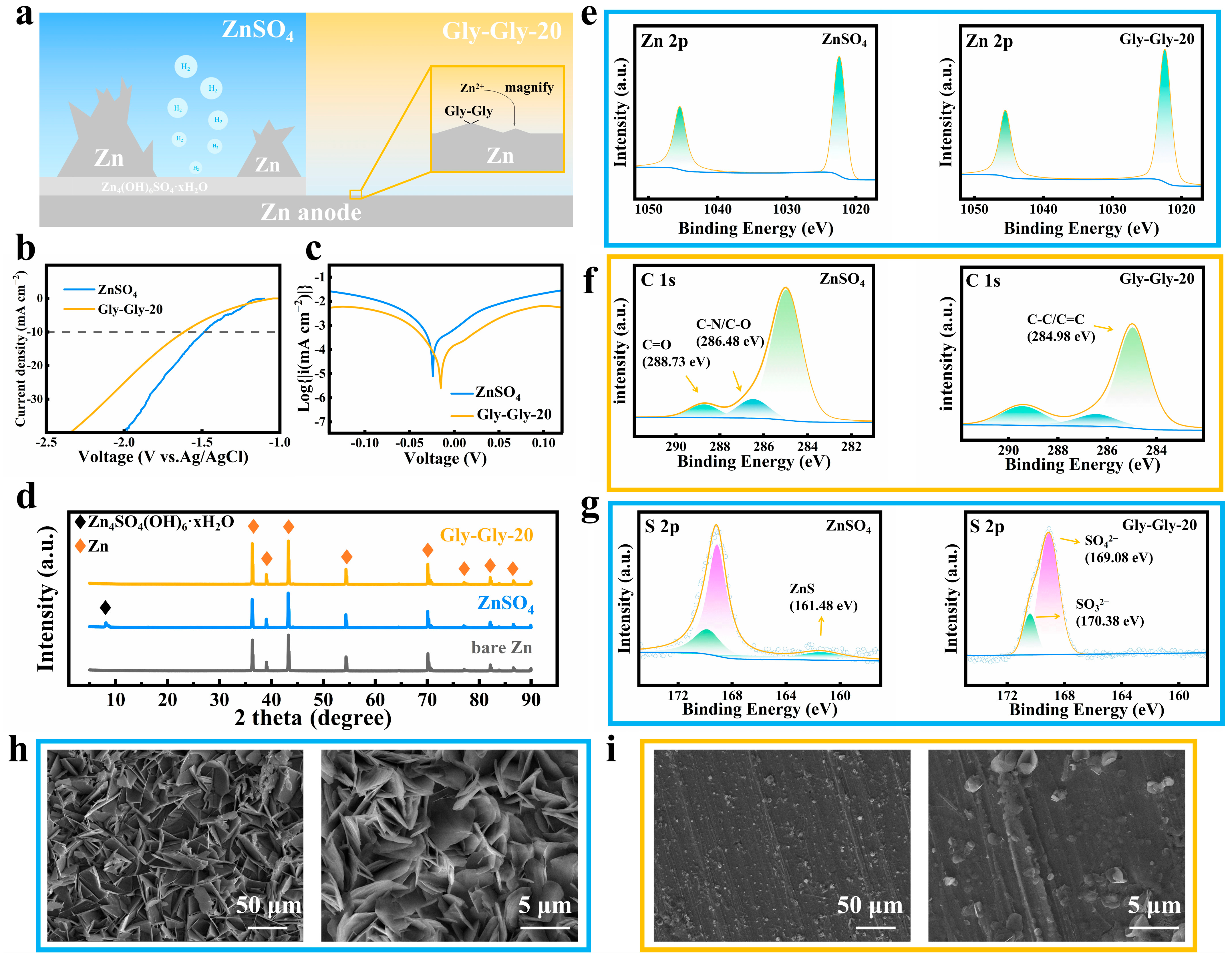 Molecules 29 00874 g002