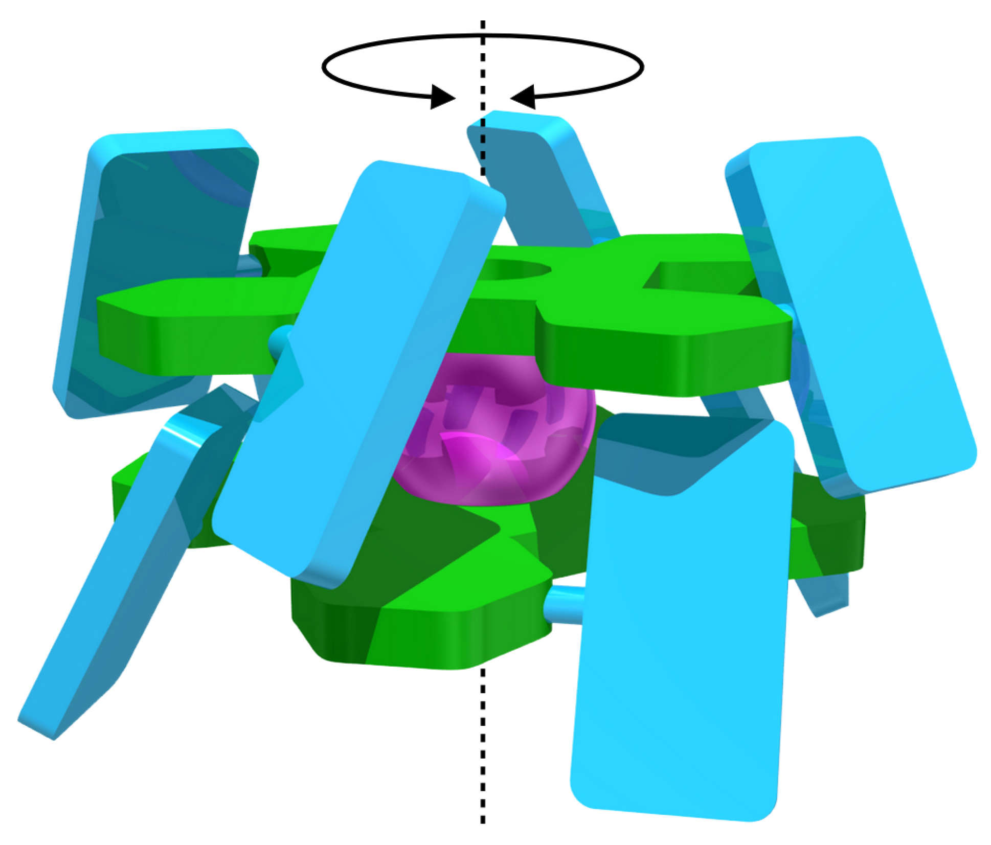 Molecules 29 00888 g001