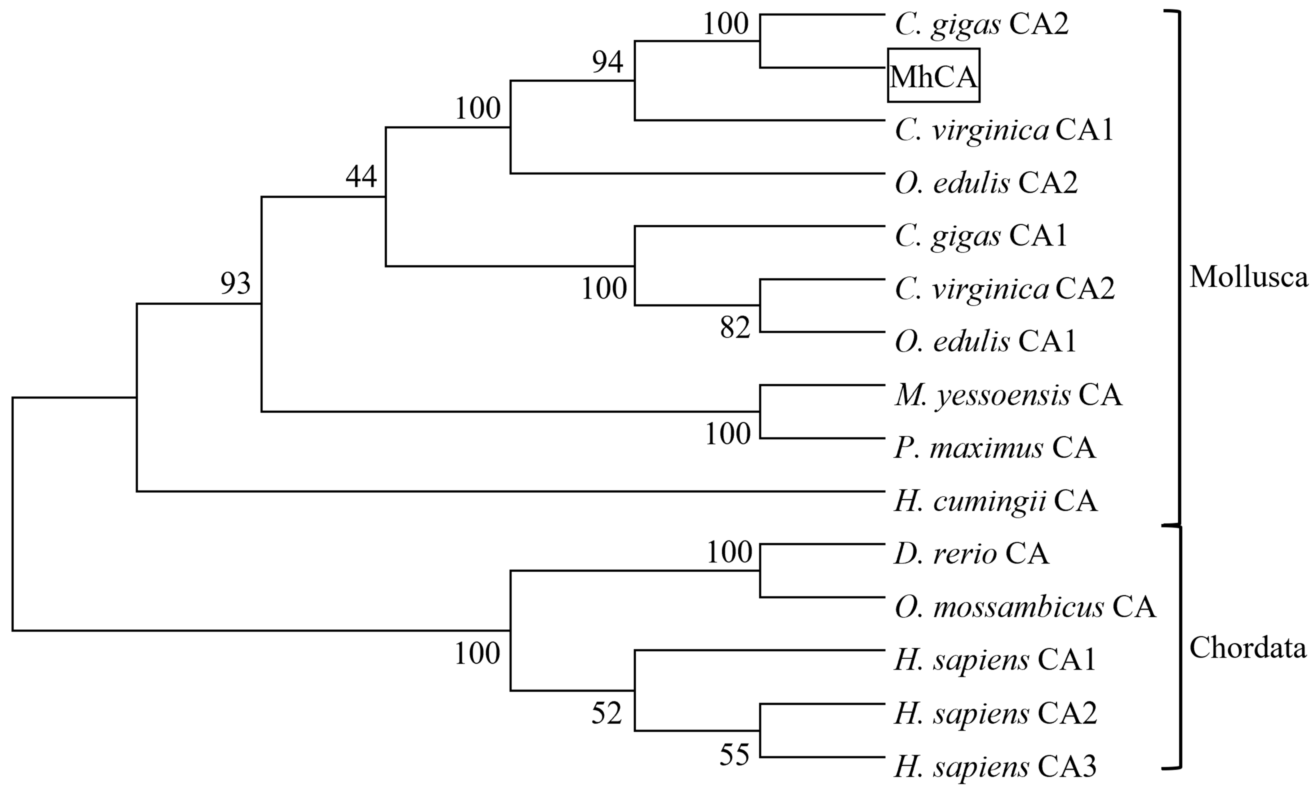 Molecules 29 00900 g005