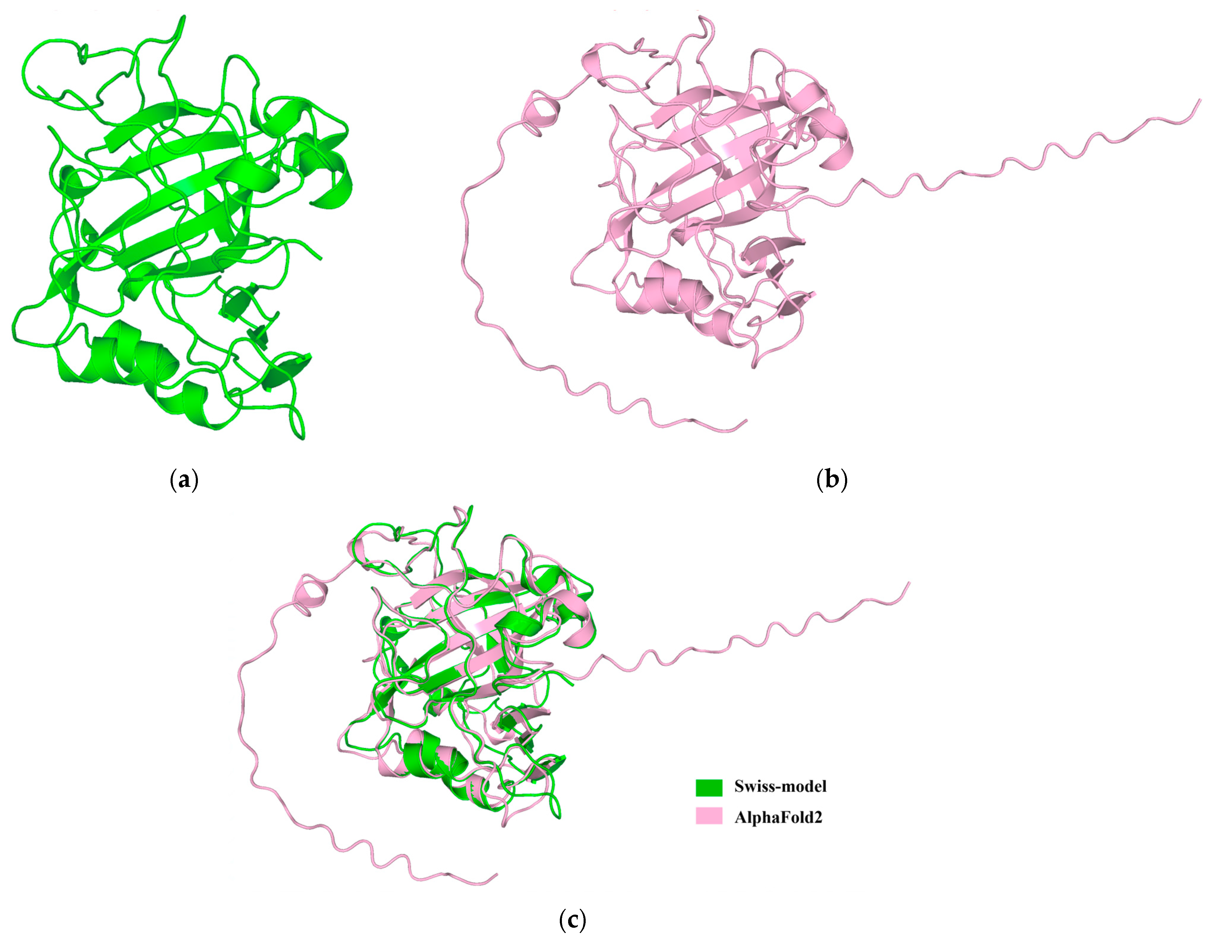 Molecules 29 00900 g006