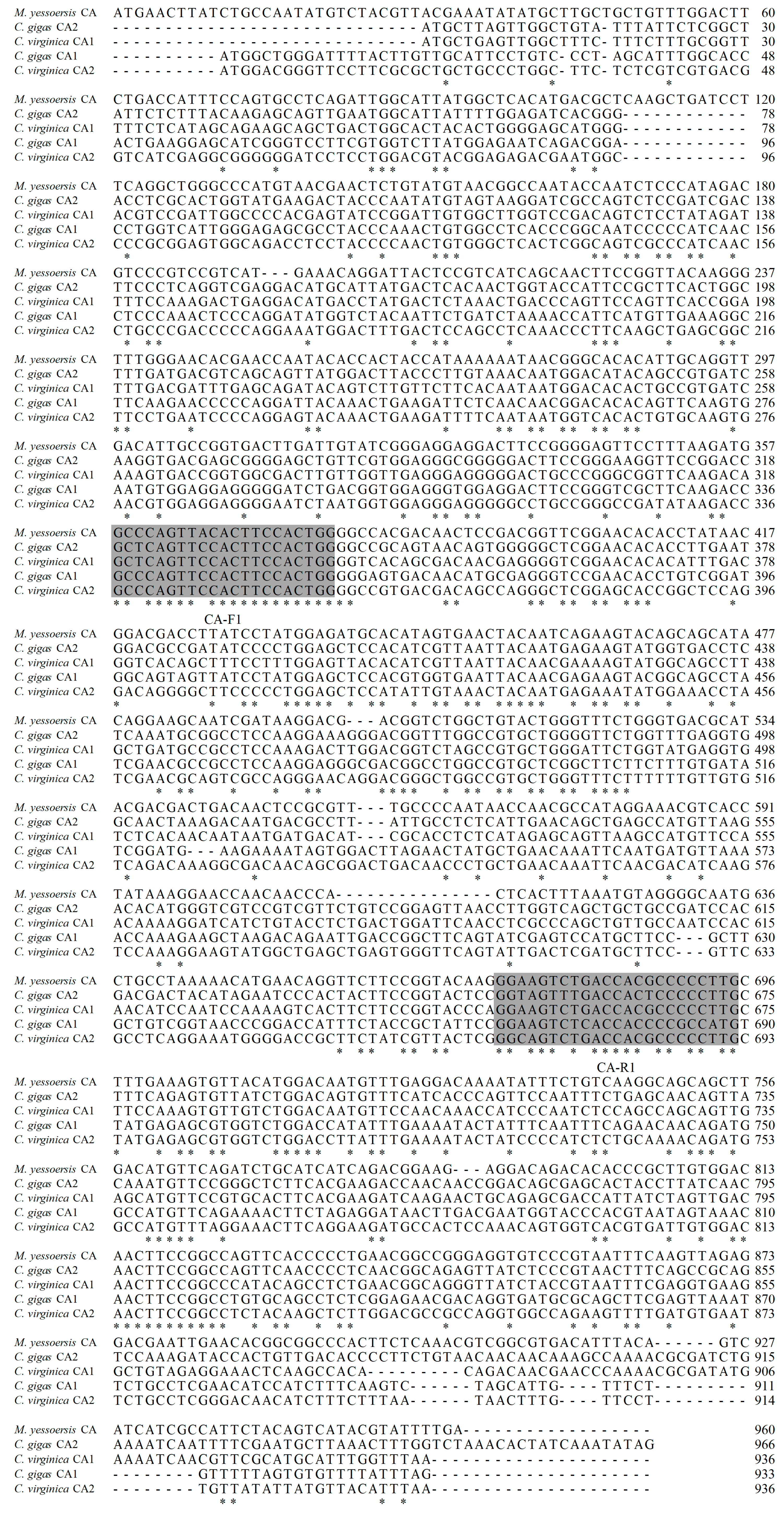 Molecules 29 00900 g008