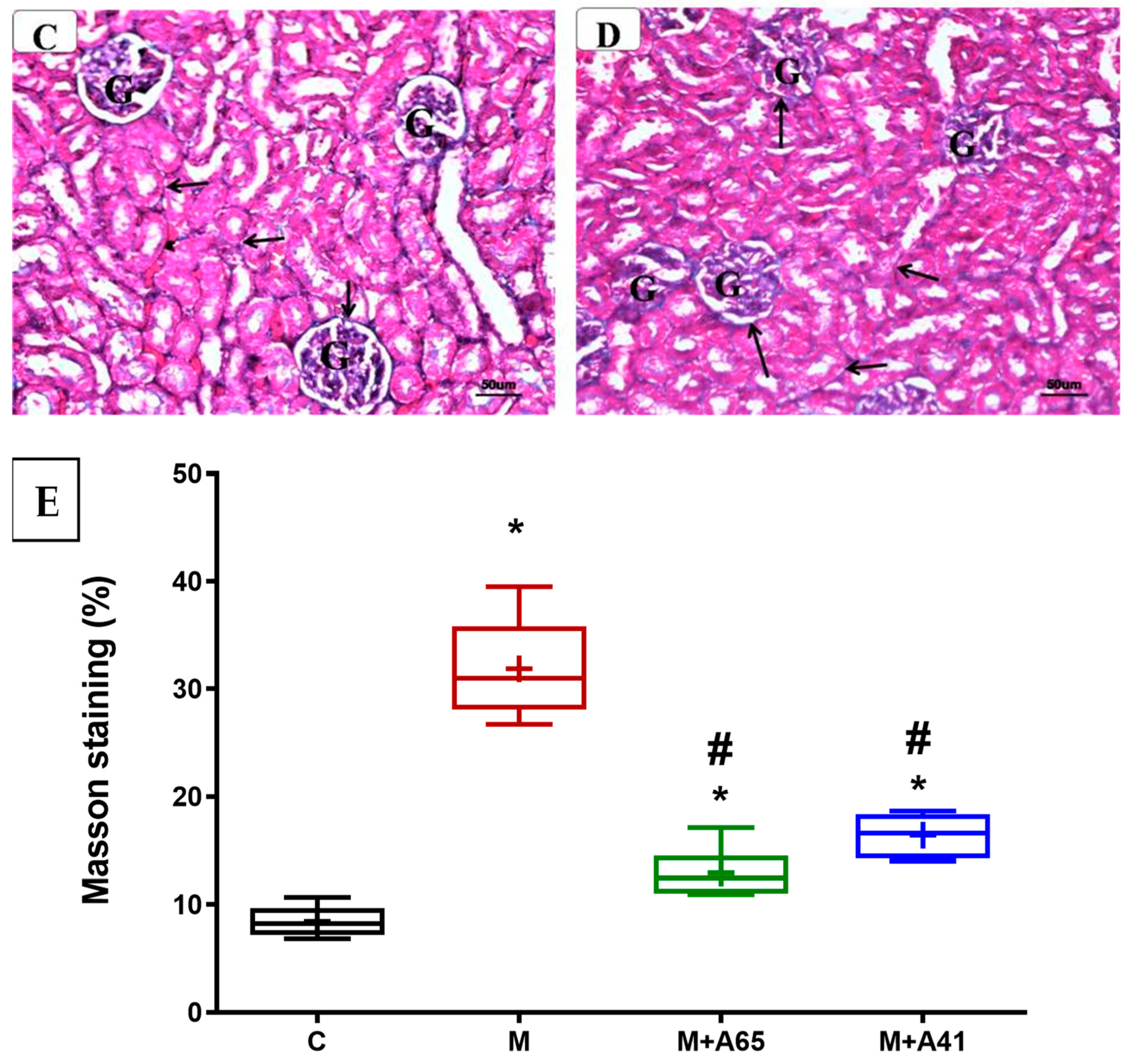 Molecules 29 00902 g006b