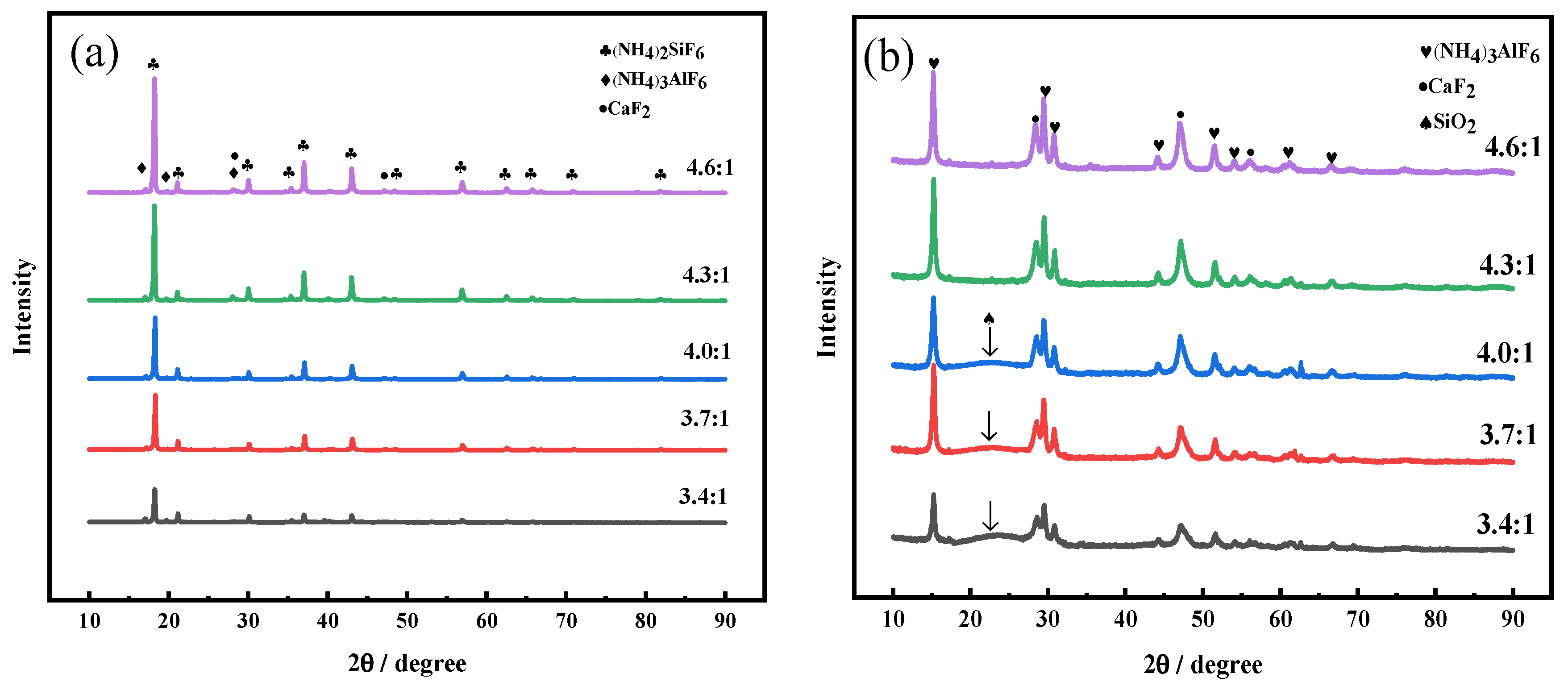 Molecules 29 00905 g011