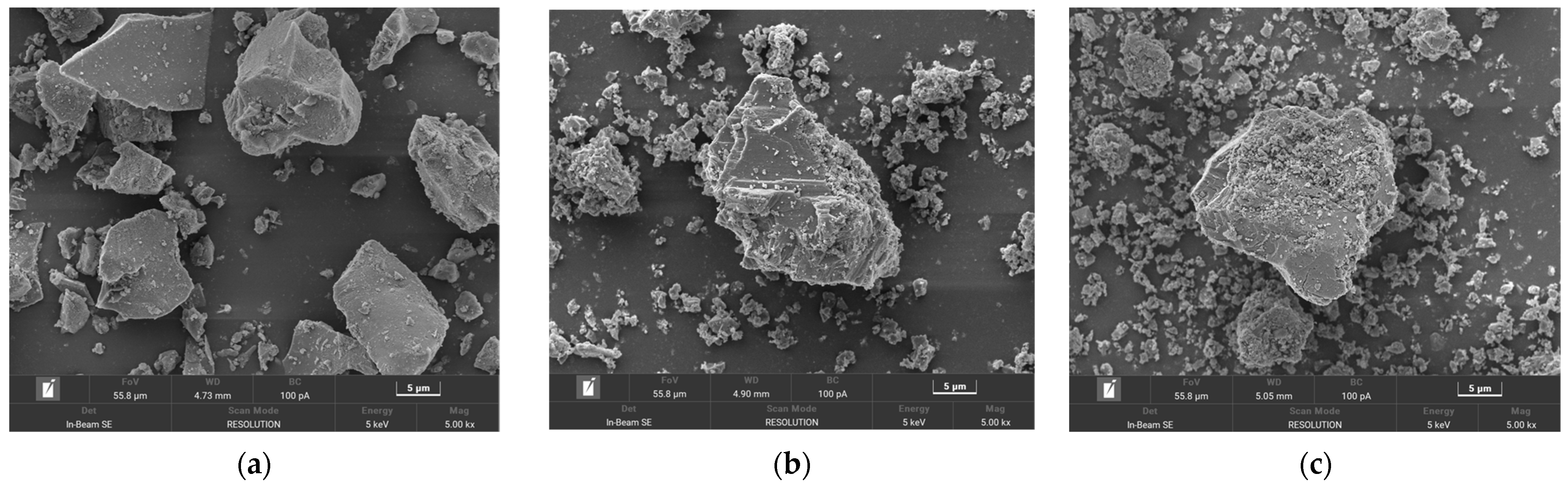 Molecules 29 00905 g012a