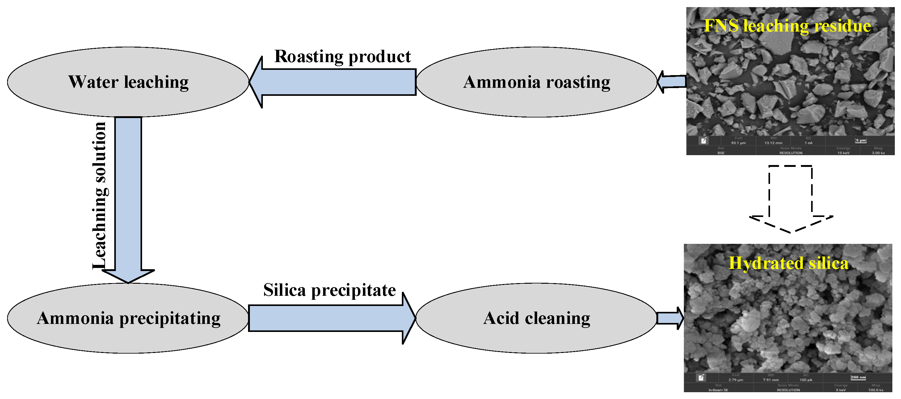 Molecules 29 00905 g016