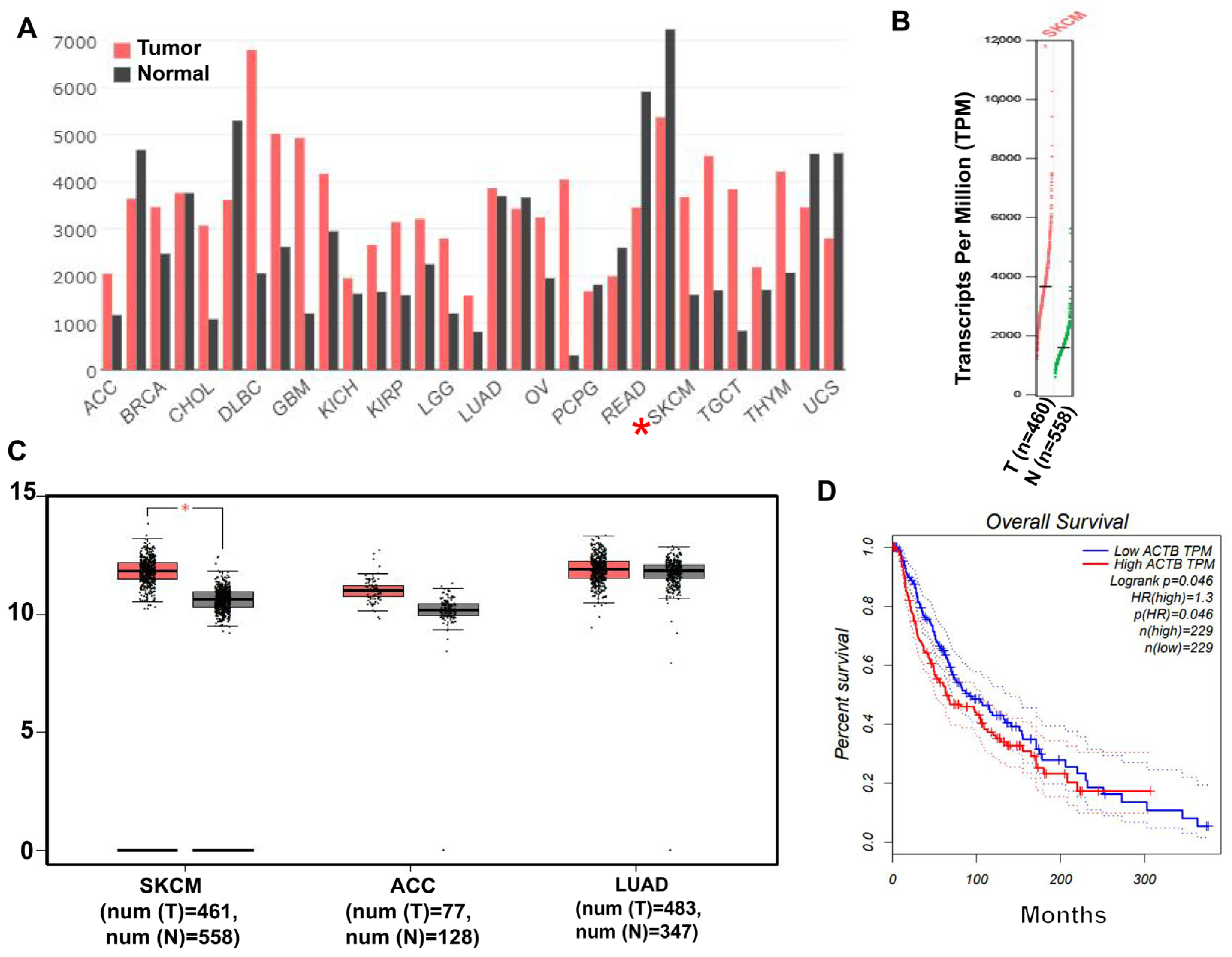 Molecules 29 00906 g001