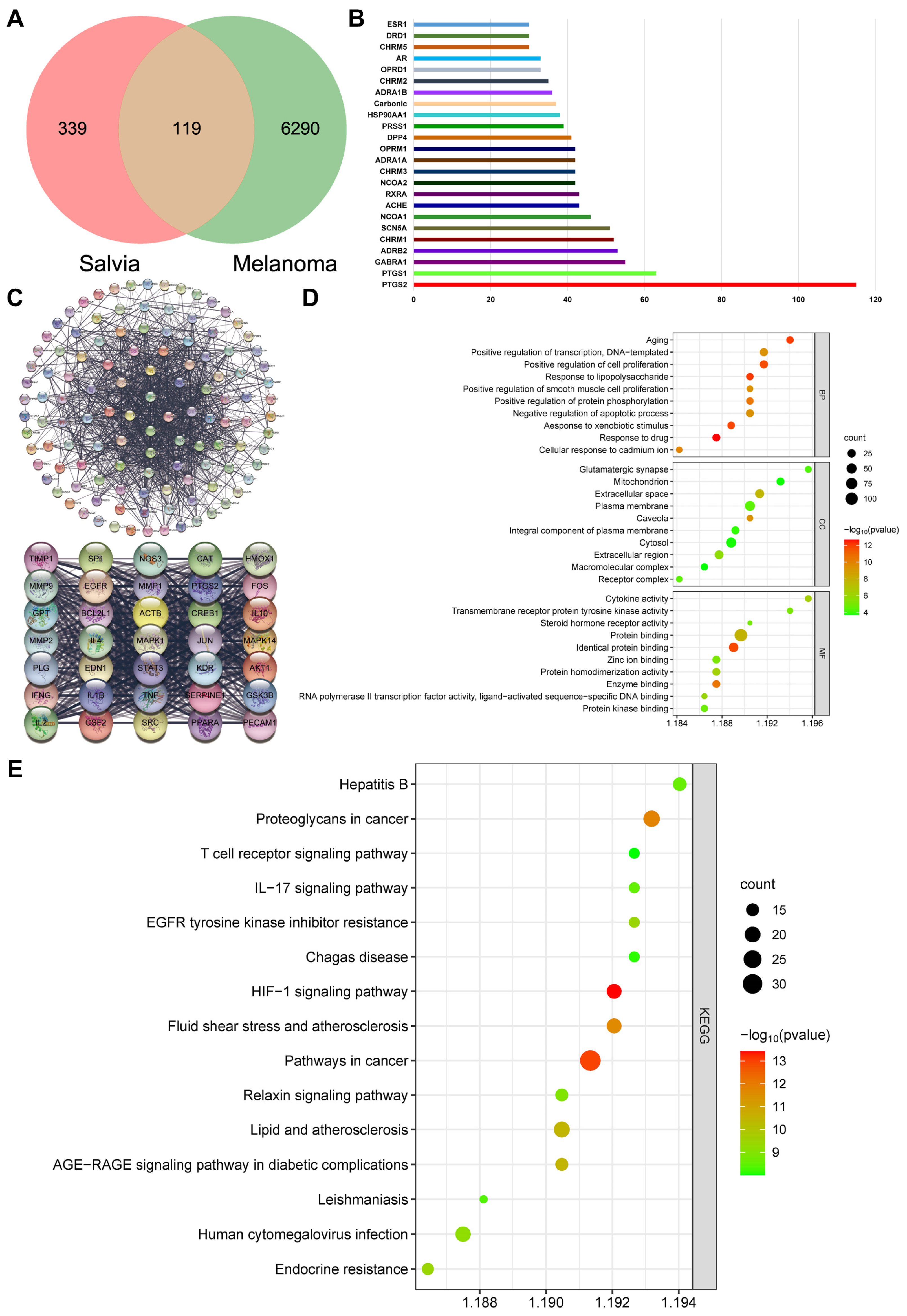 Molecules 29 00906 g002