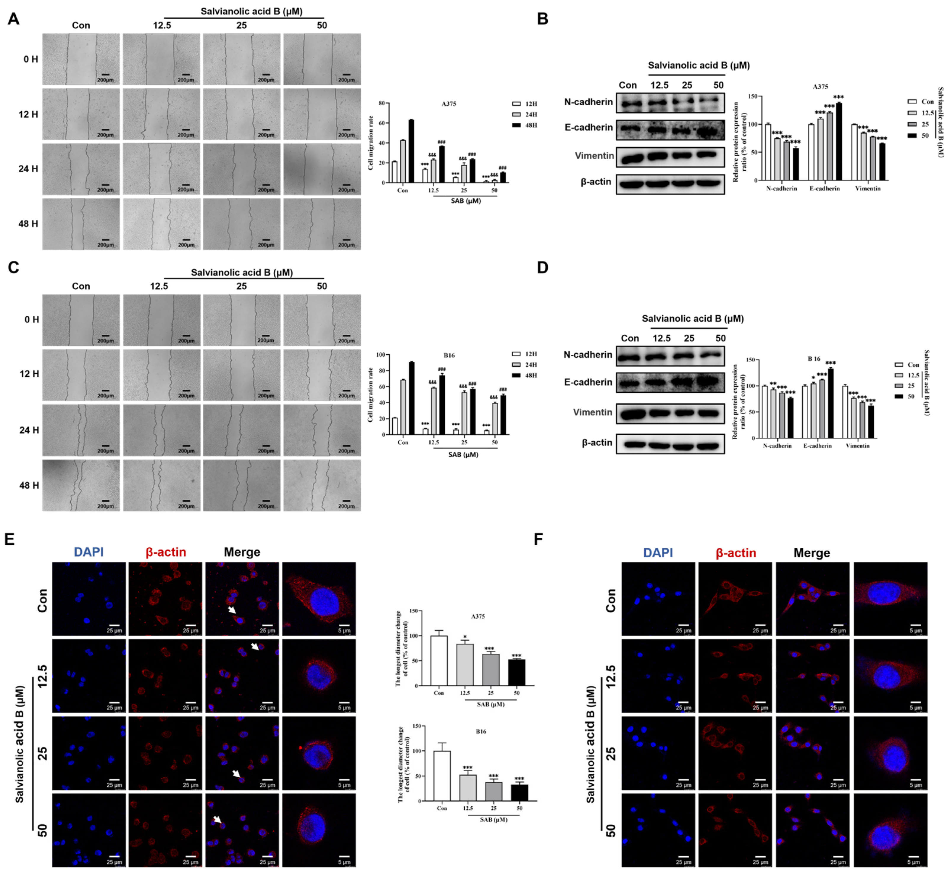Molecules 29 00906 g004