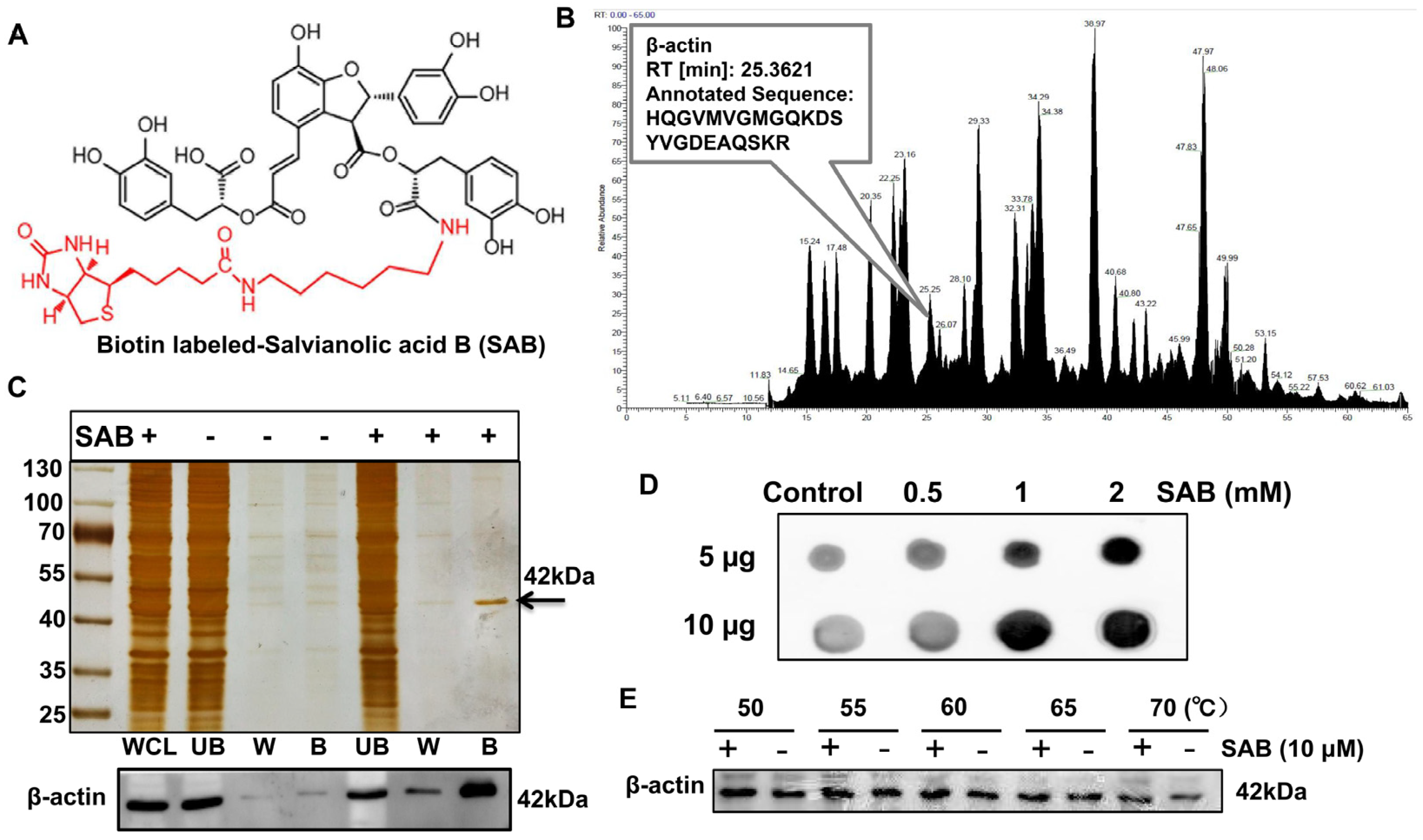 Molecules 29 00906 g005