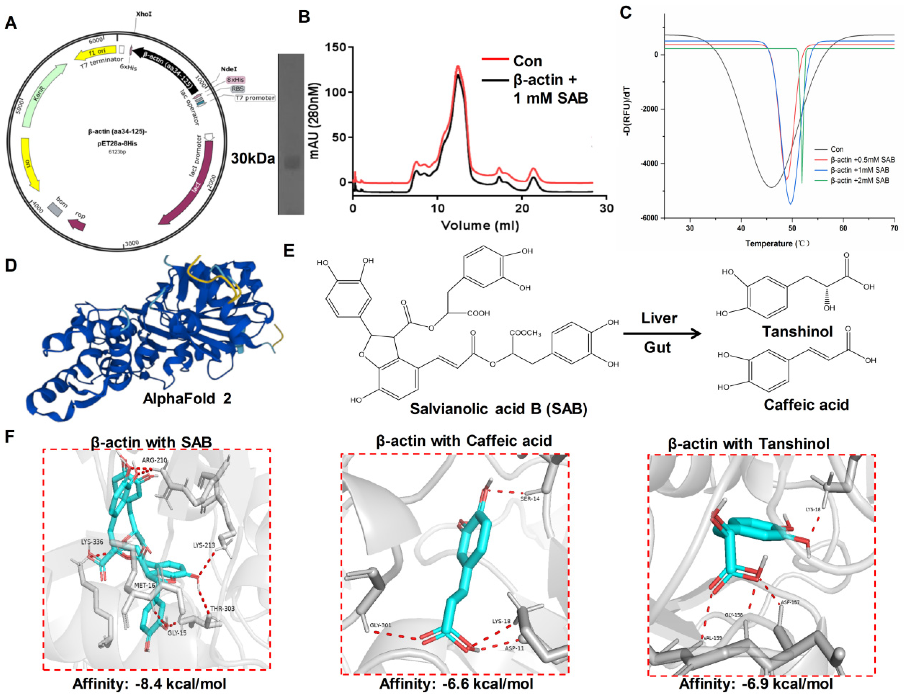 Molecules 29 00906 g006
