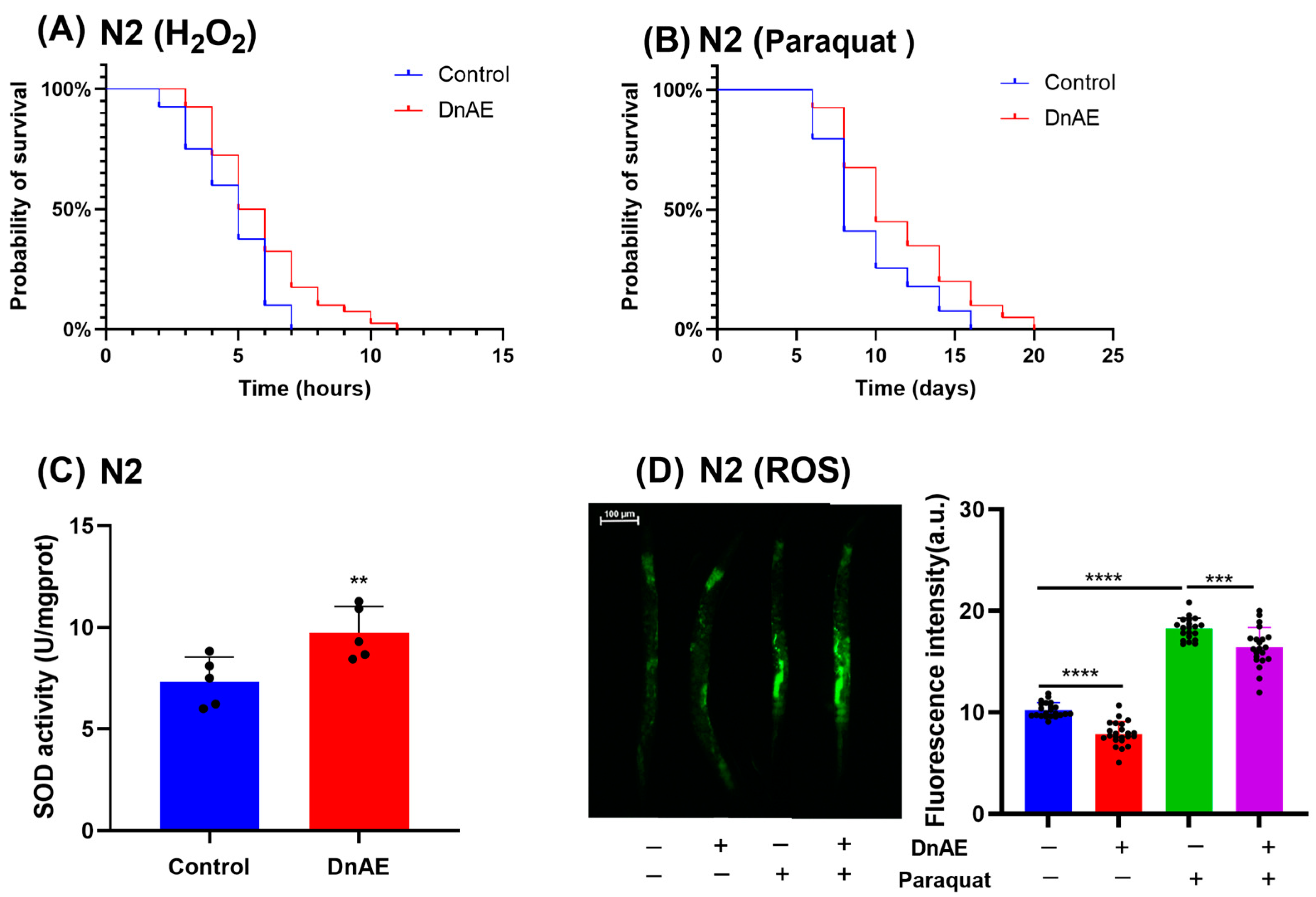 Molecules 29 00908 g004