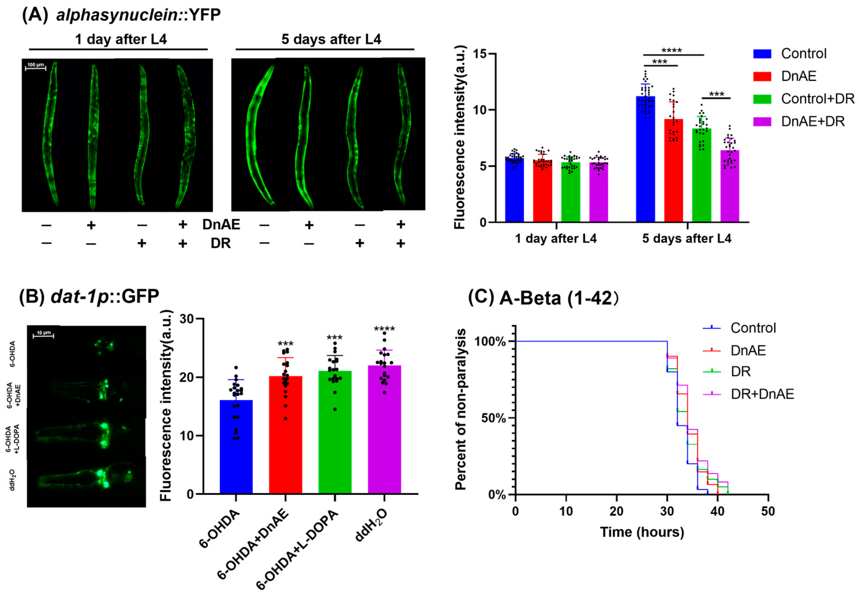 Molecules 29 00908 g007