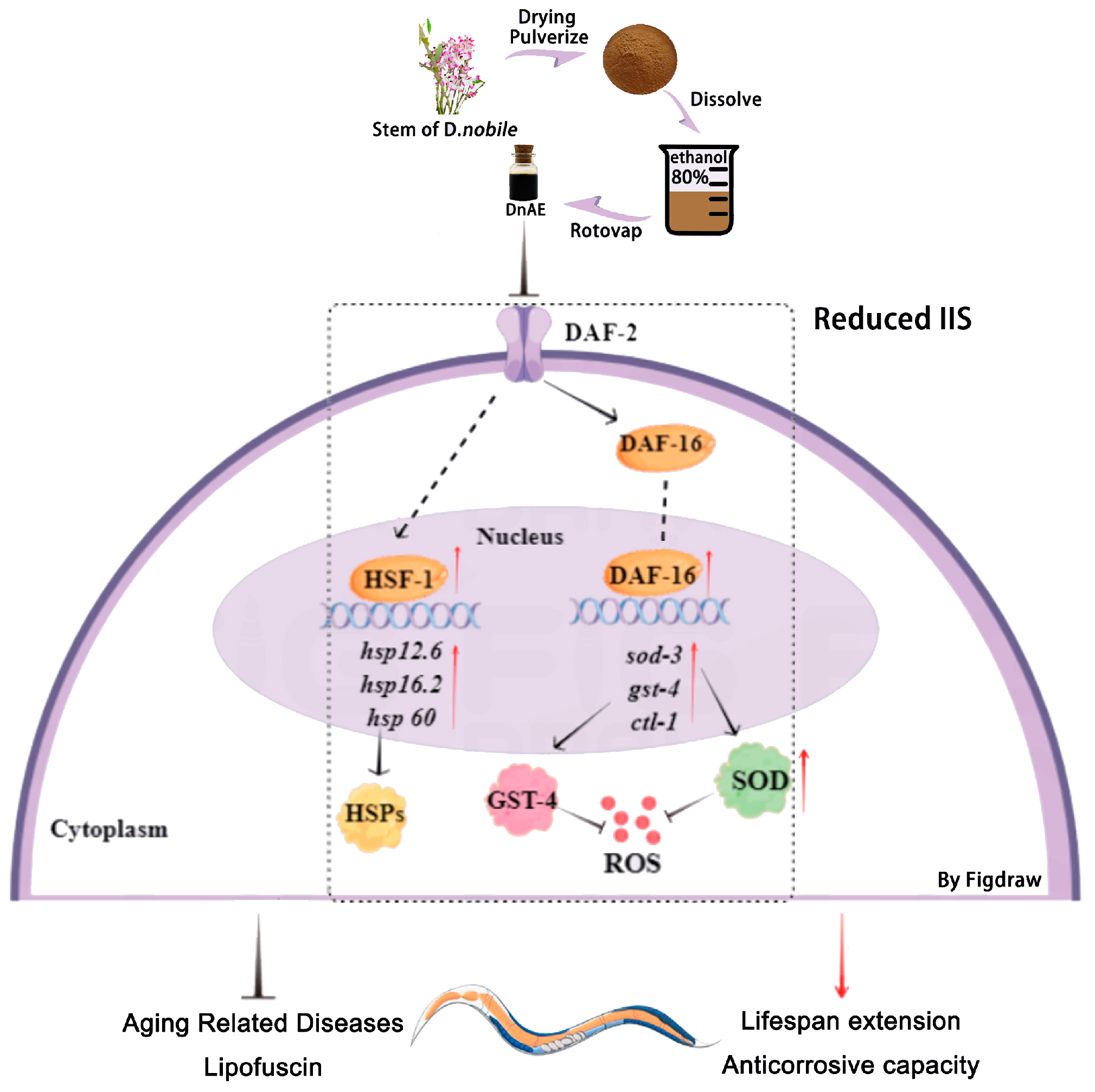 Molecules 29 00908 g008