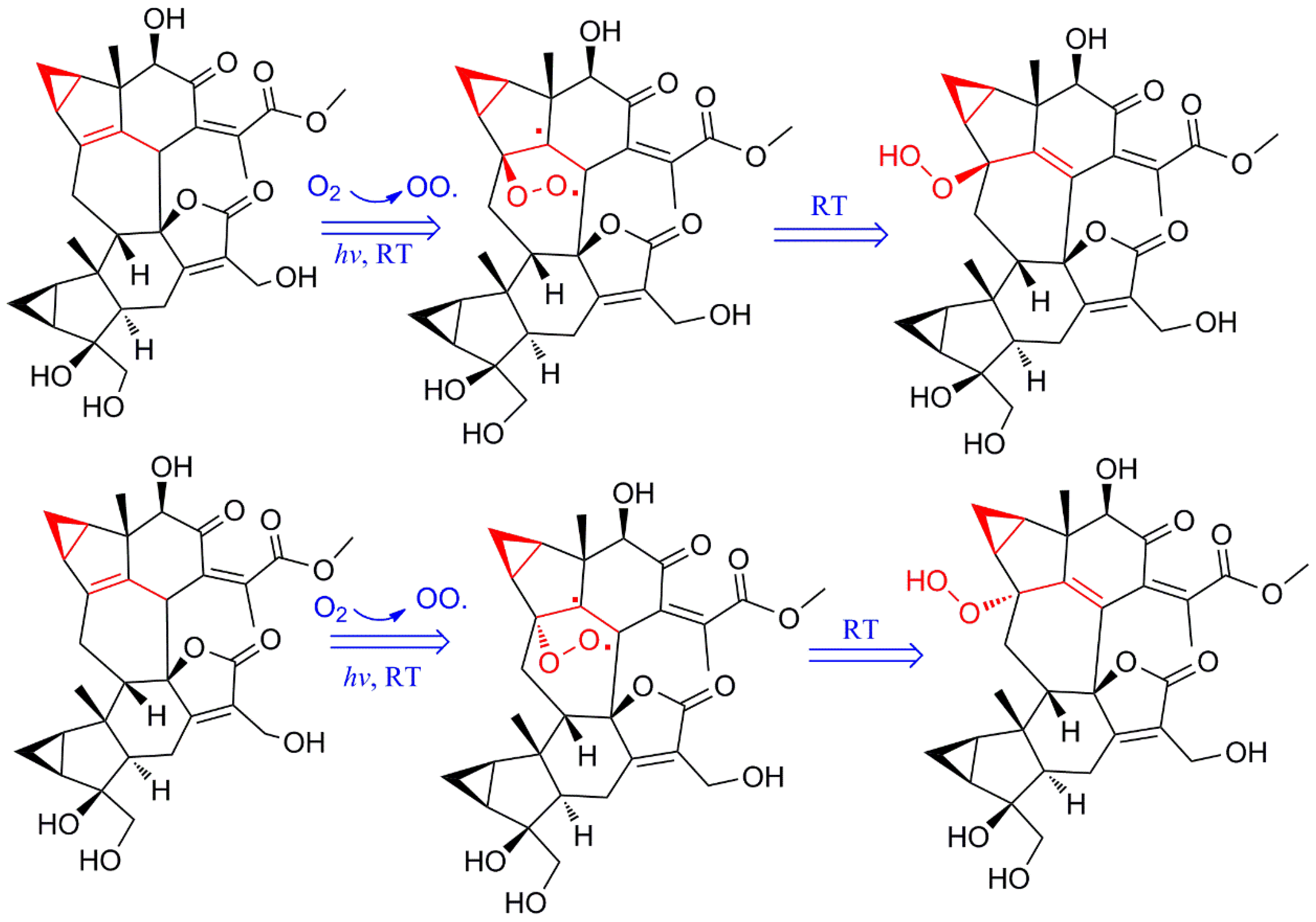 Molecules 29 00909 g004