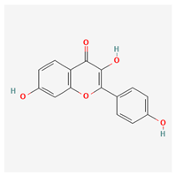 Molecules 29 00910 i012 Molecules 29 00910 i012
