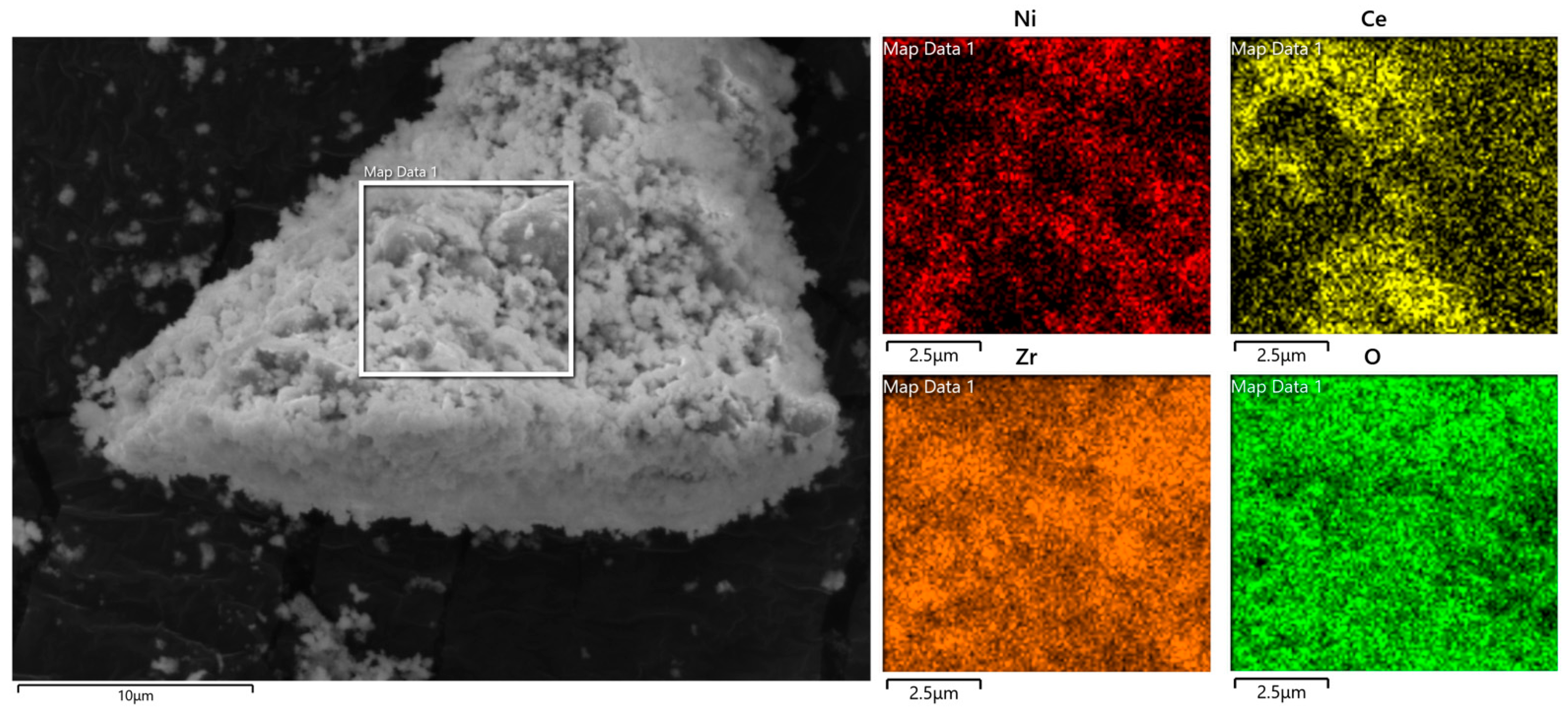 Molecules 29 00911 g012