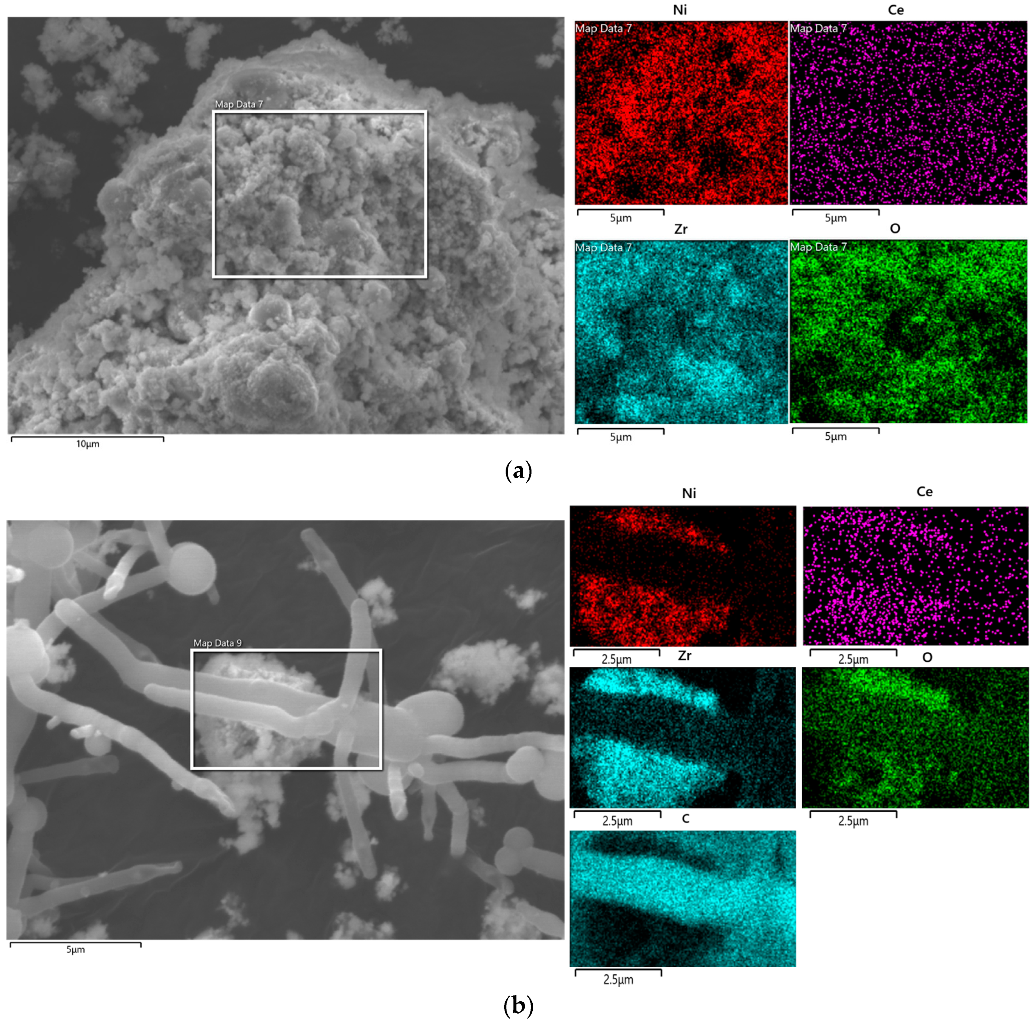 Molecules 29 00911 g013