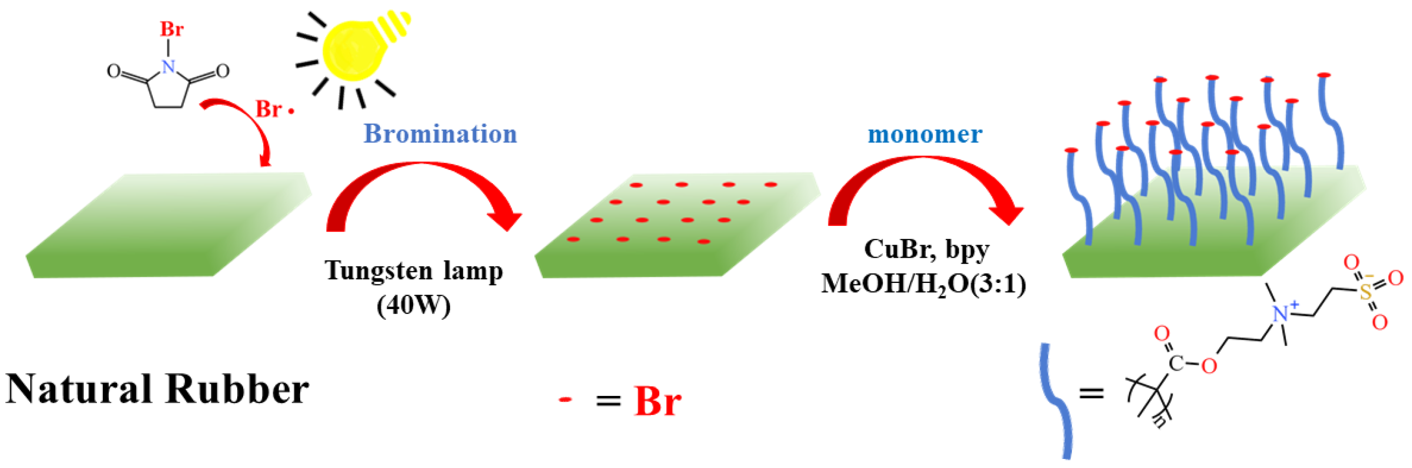 Molecules 29 00913 g001