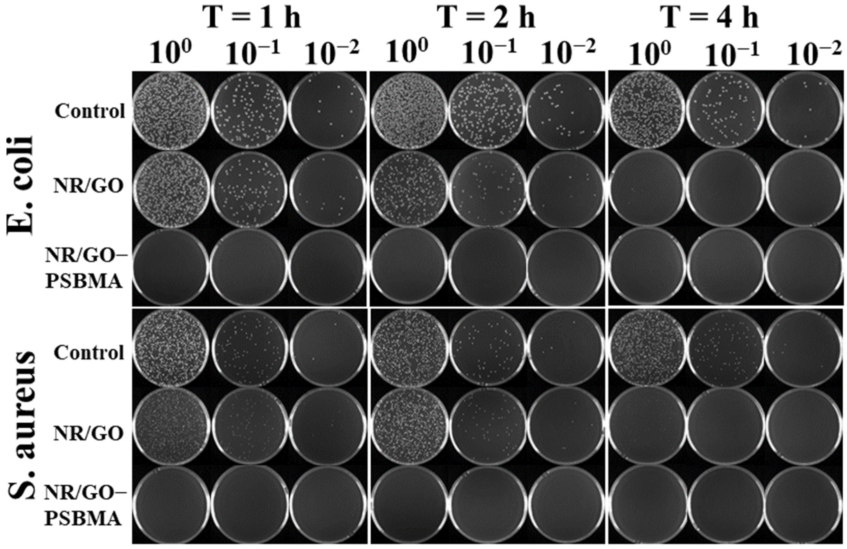 Molecules 29 00913 g006