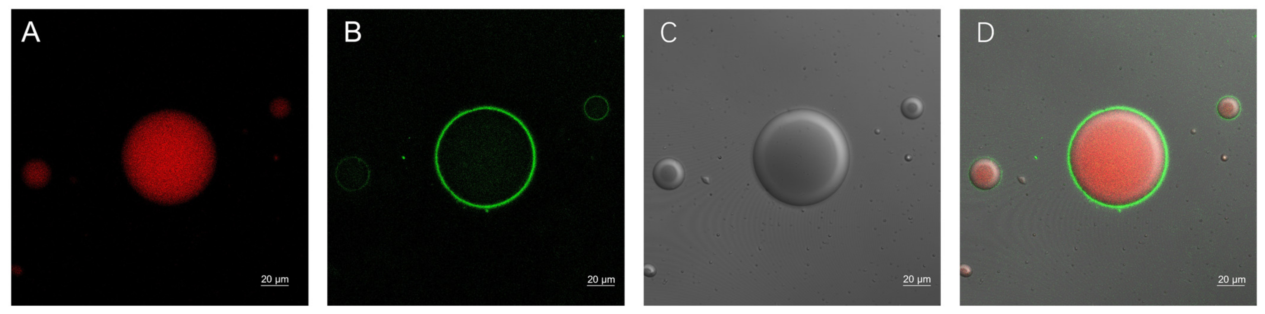 Molecules 29 00915 g001