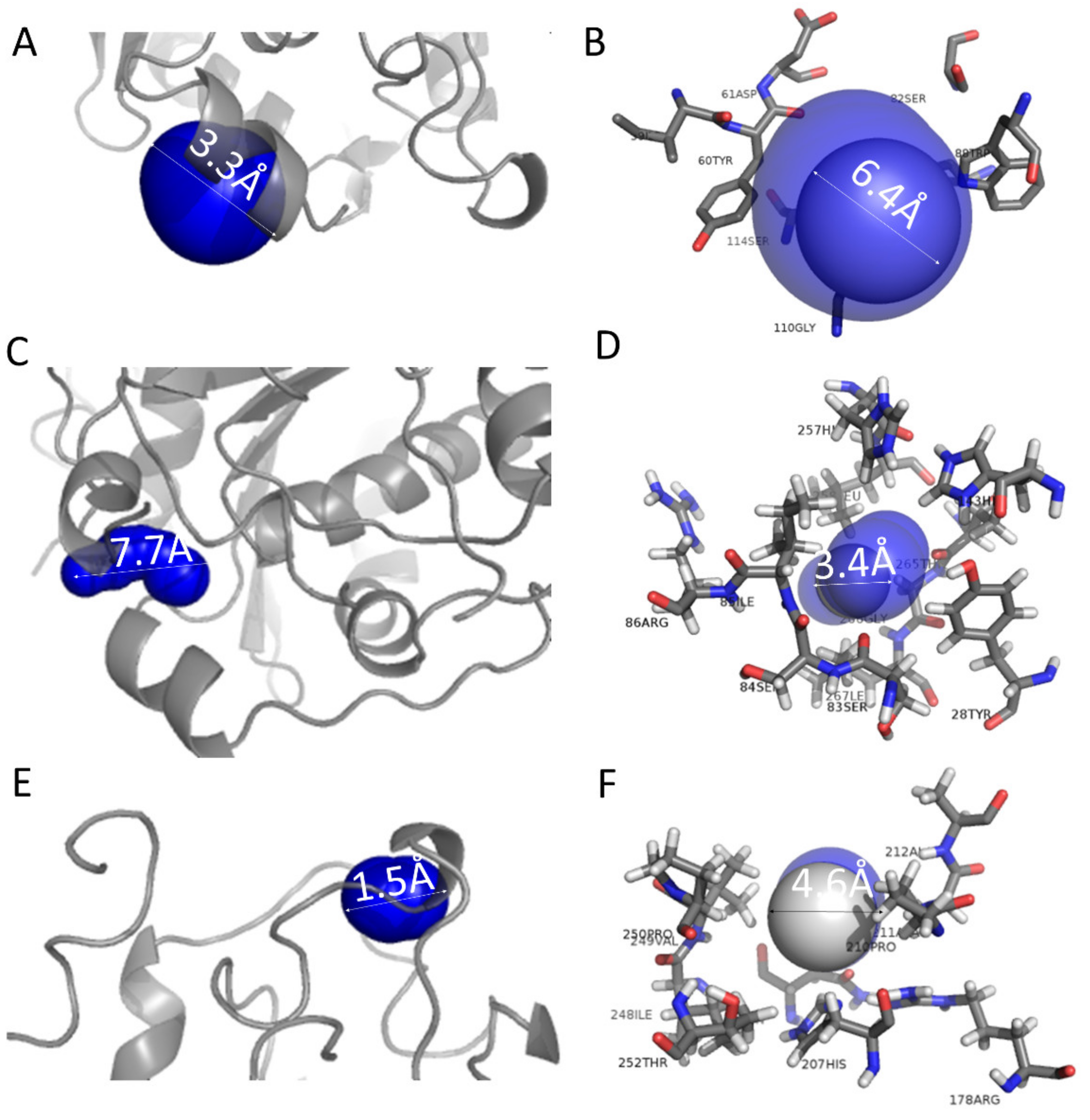 Molecules 29 00915 g005