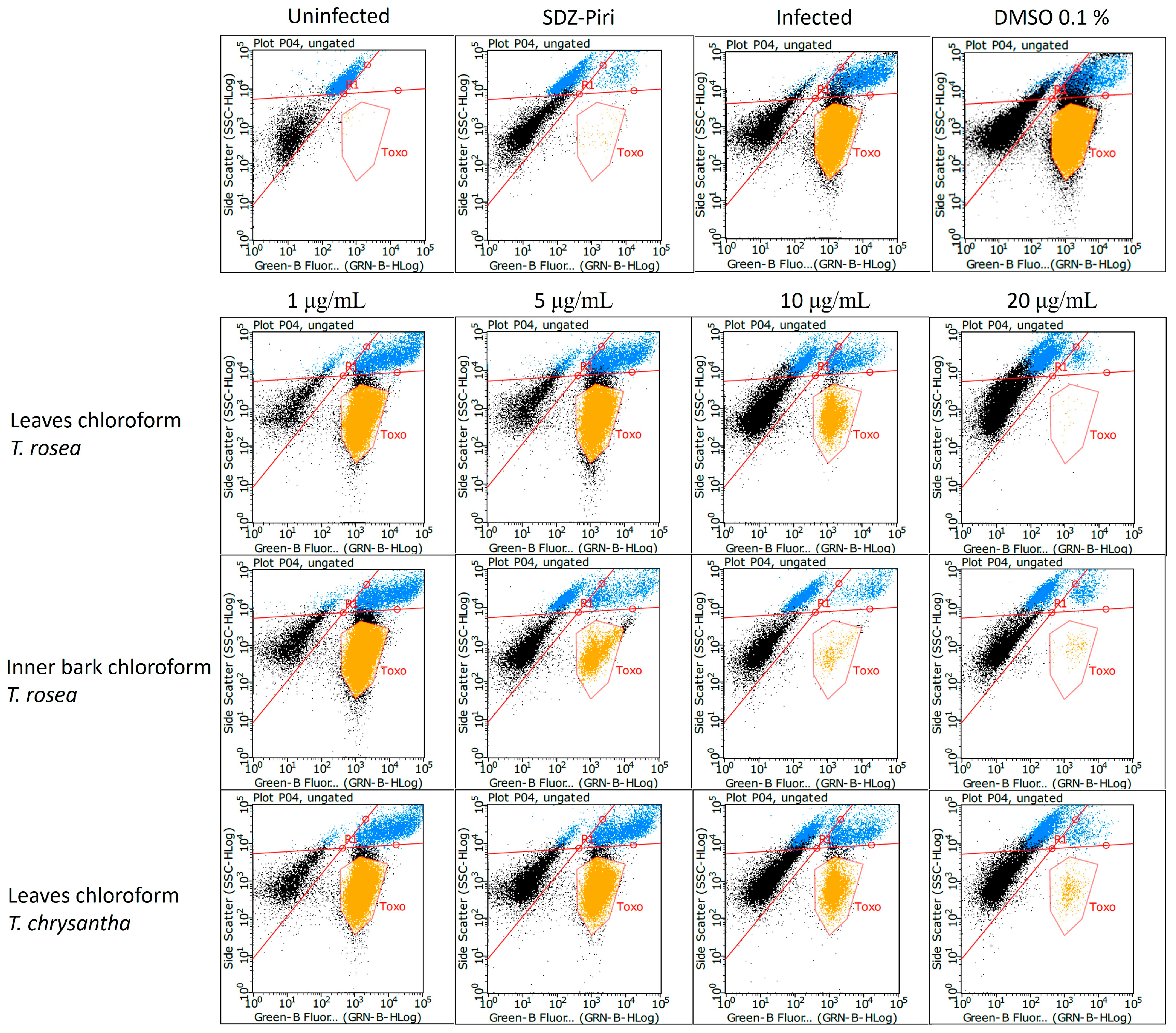 Molecules 29 00920 g004
