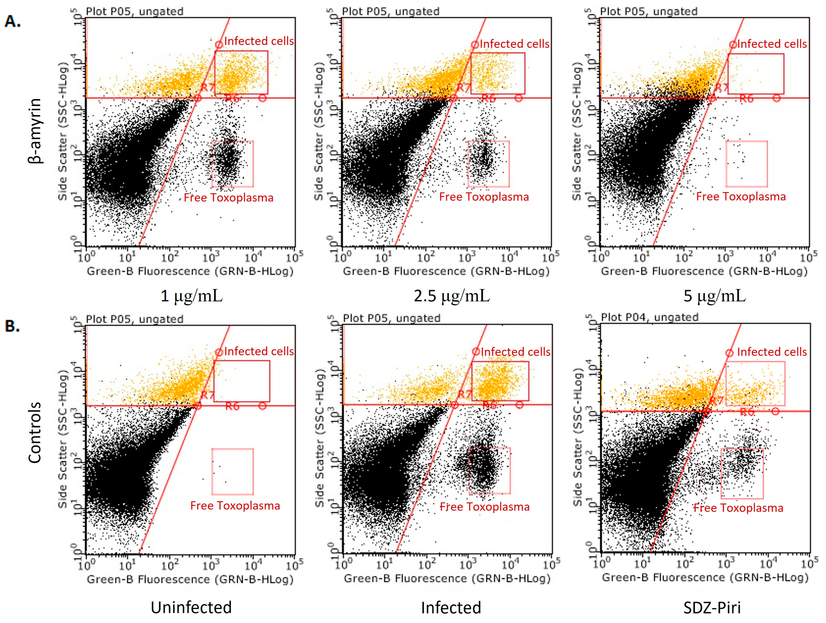 Molecules 29 00920 g009