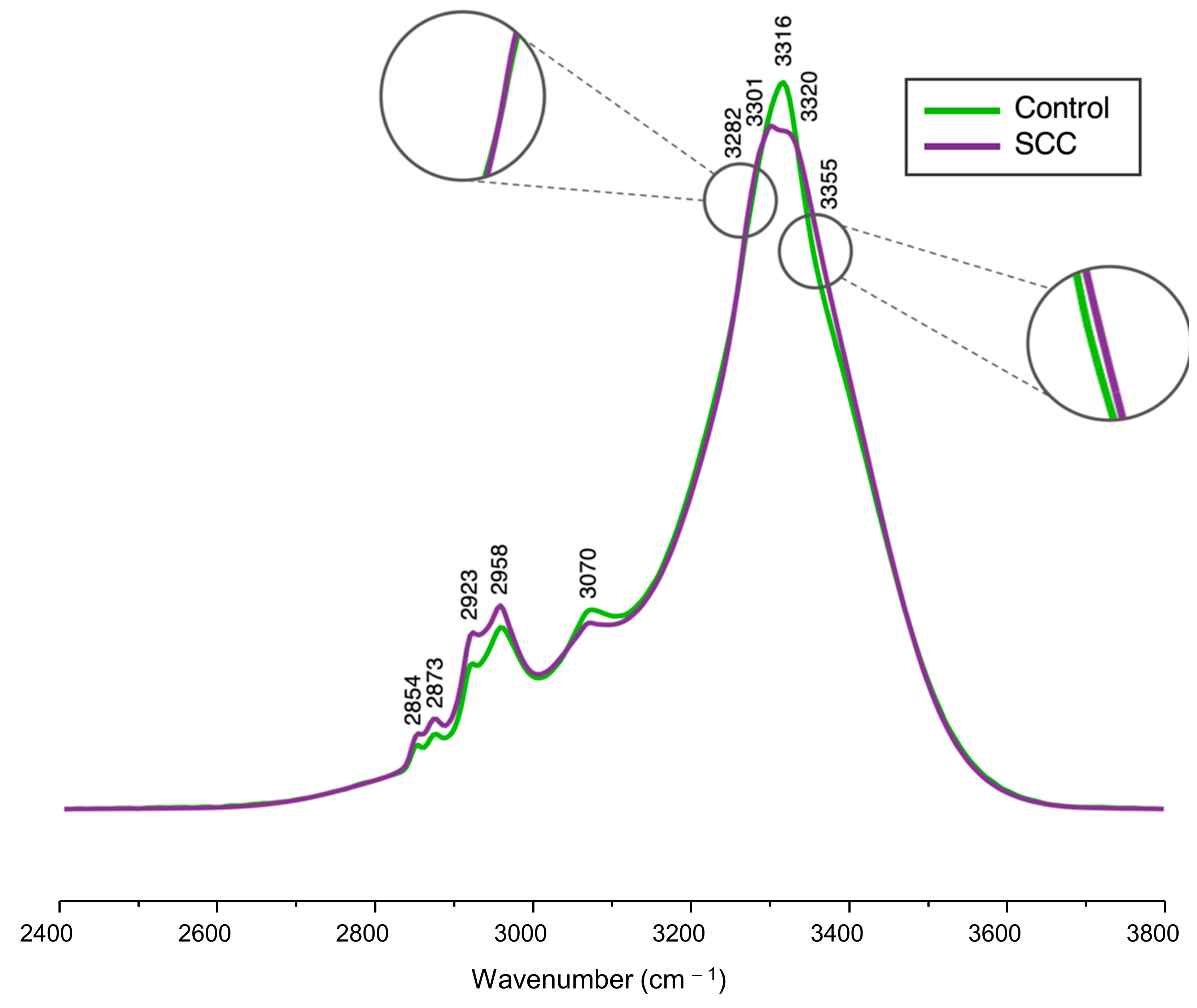 Molecules 29 00922 g001