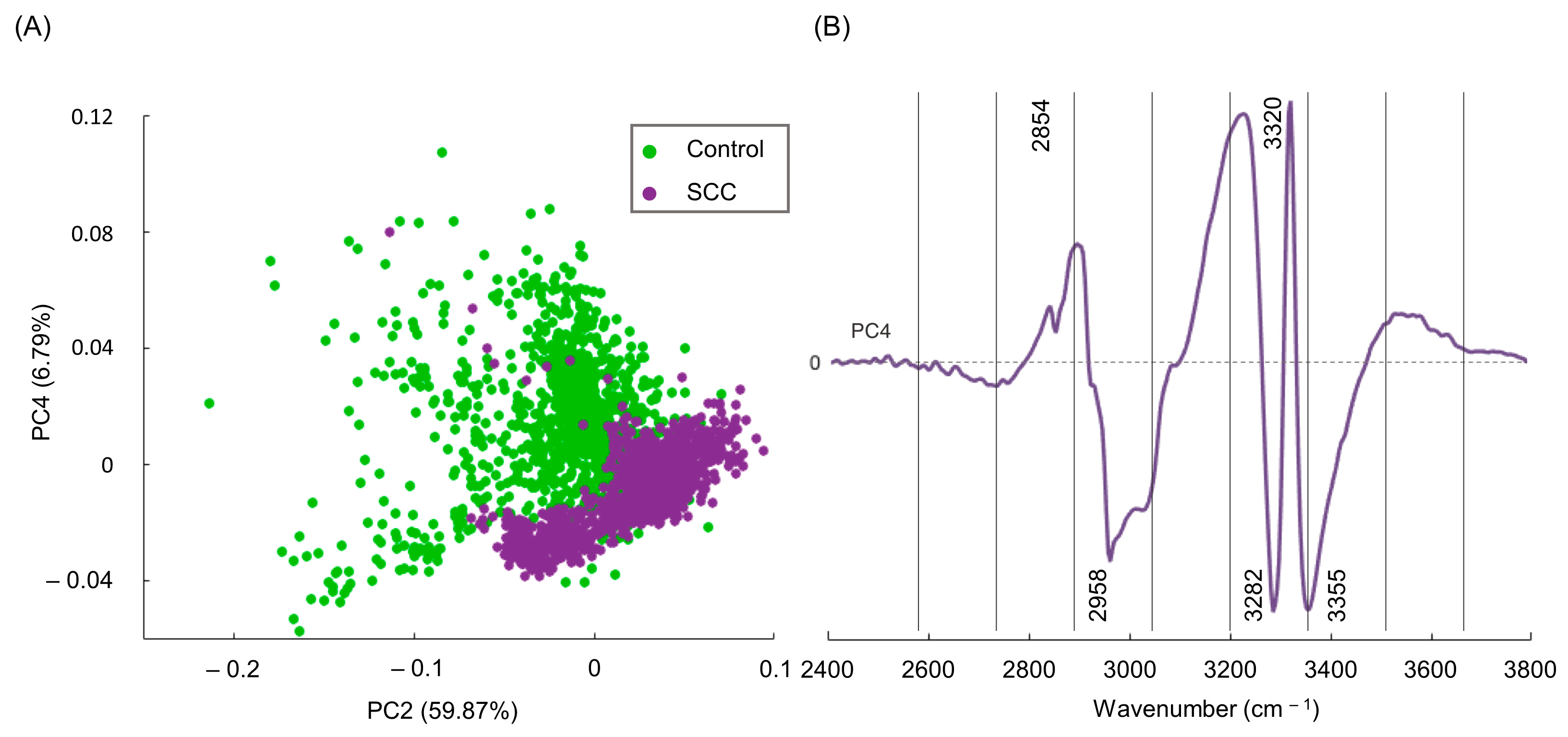 Molecules 29 00922 g002