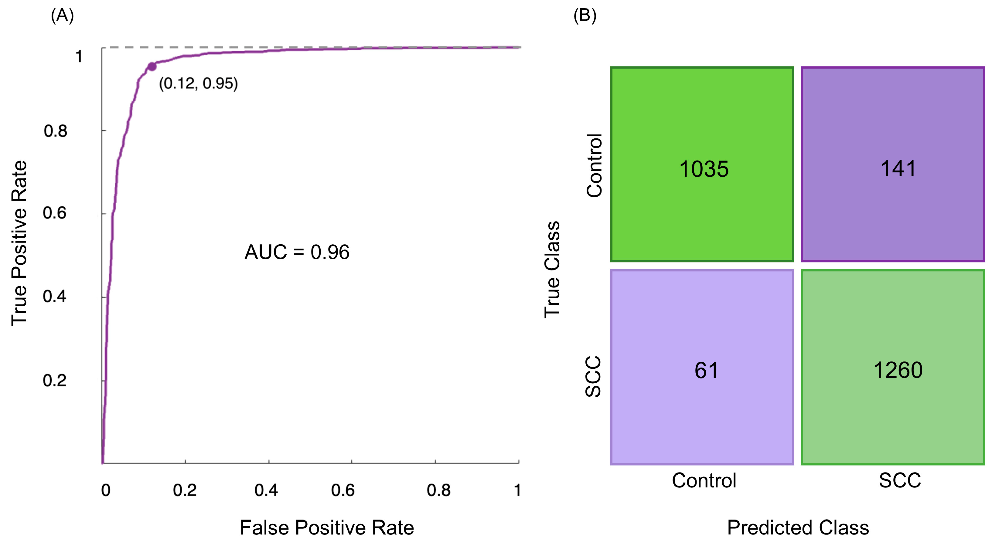 Molecules 29 00922 g003
